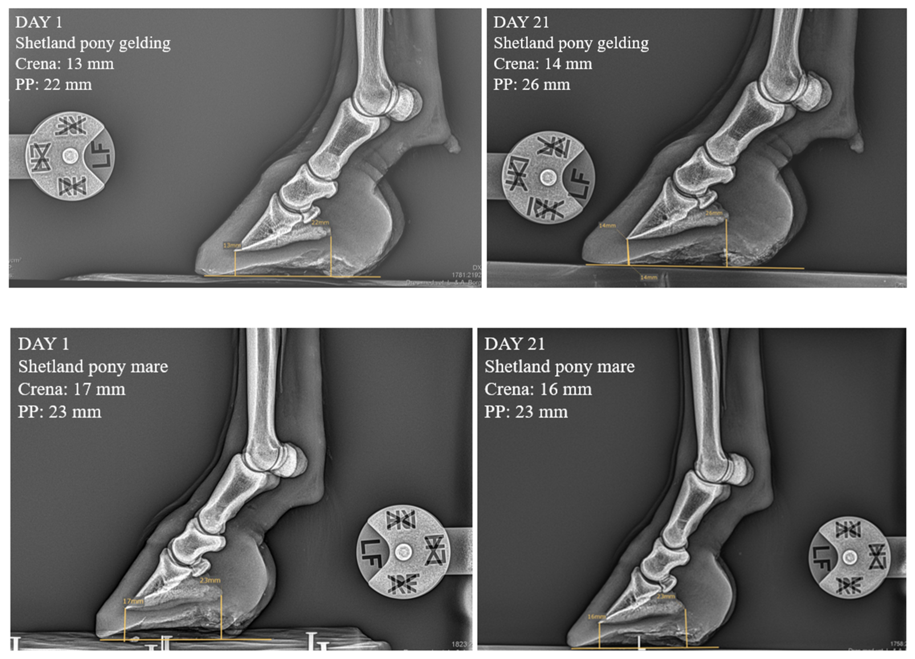 Preprints 99134 g002b