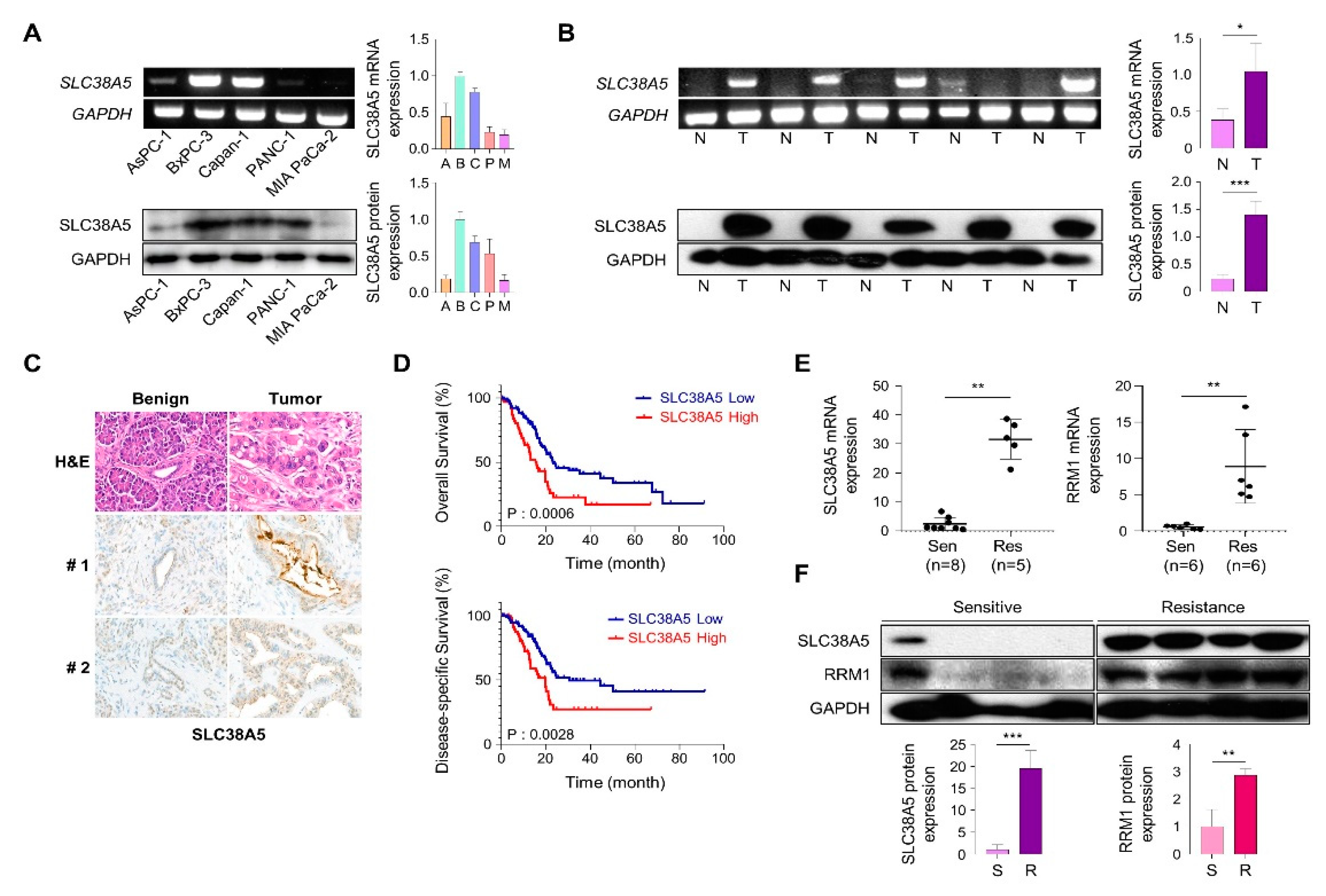 Preprints 84905 g001