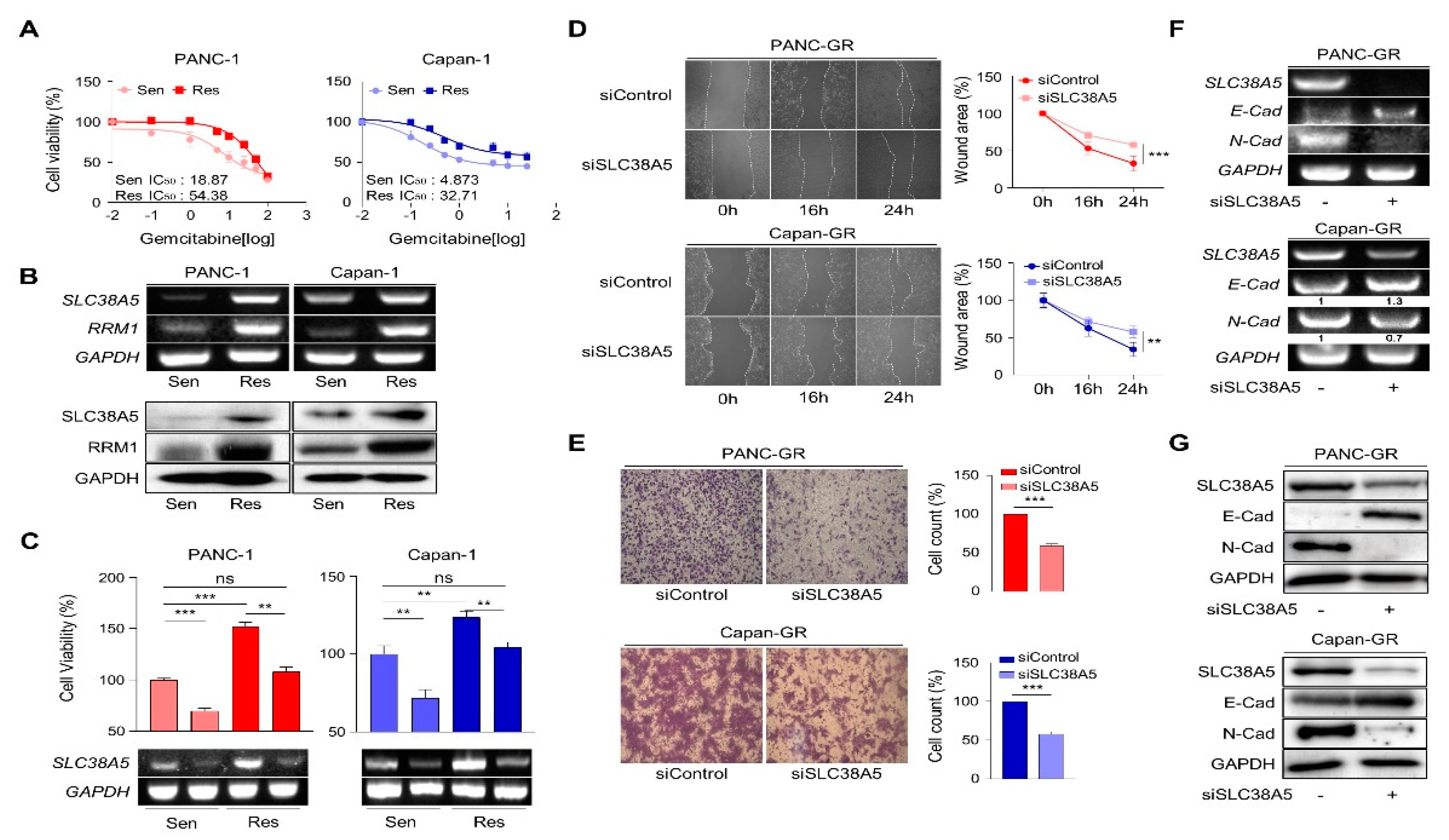 Preprints 84905 g002