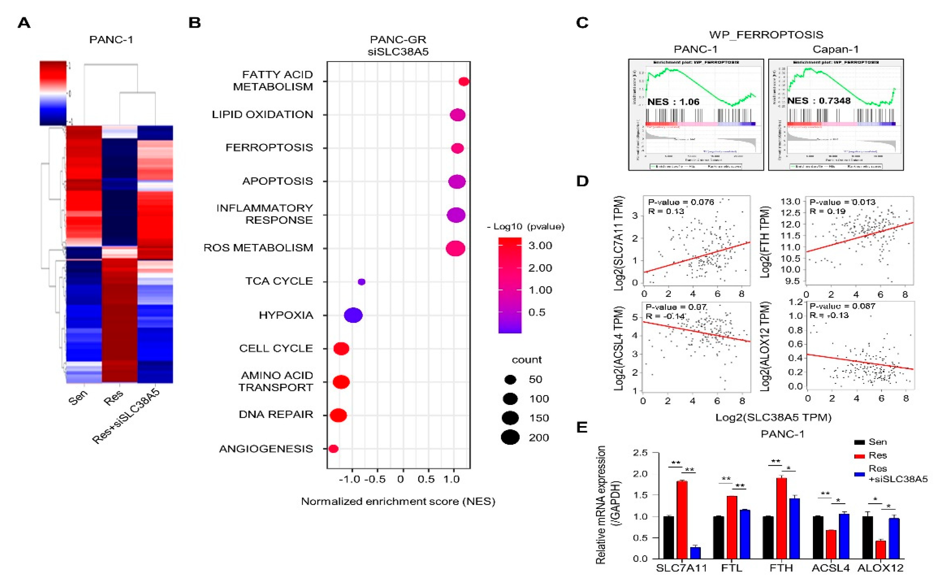 Preprints 84905 g003