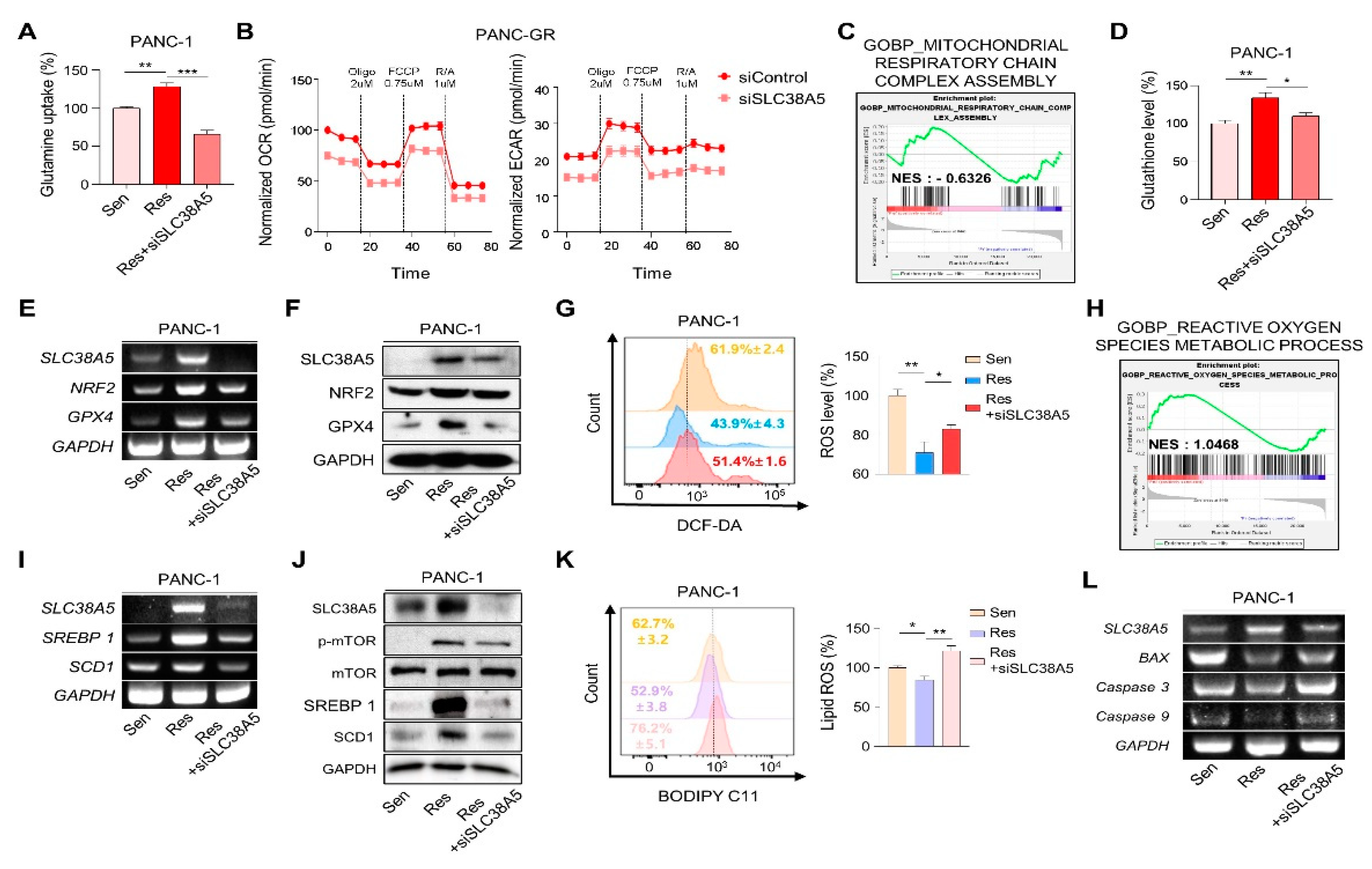 Preprints 84905 g004