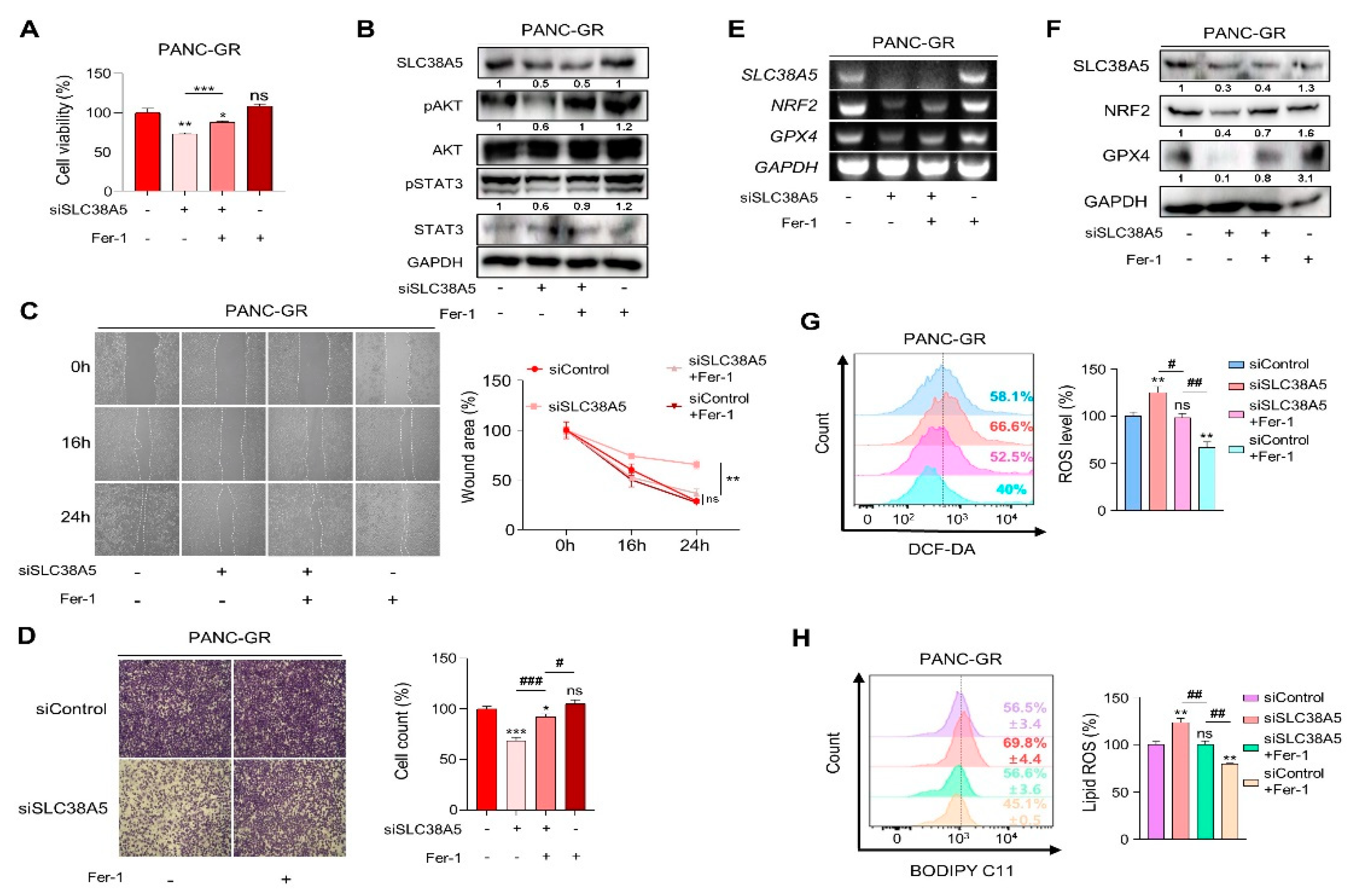 Preprints 84905 g005