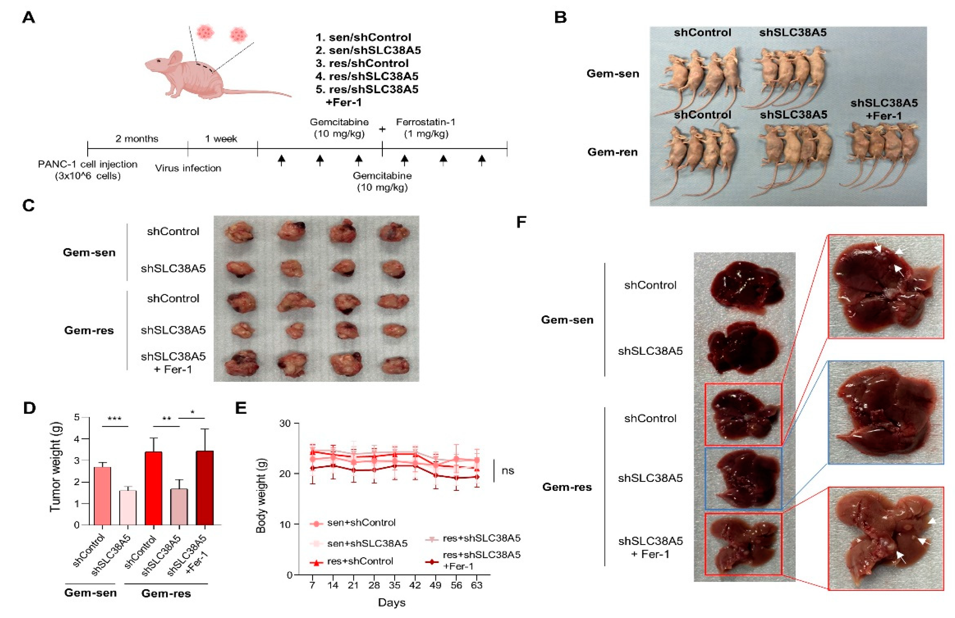 Preprints 84905 g006