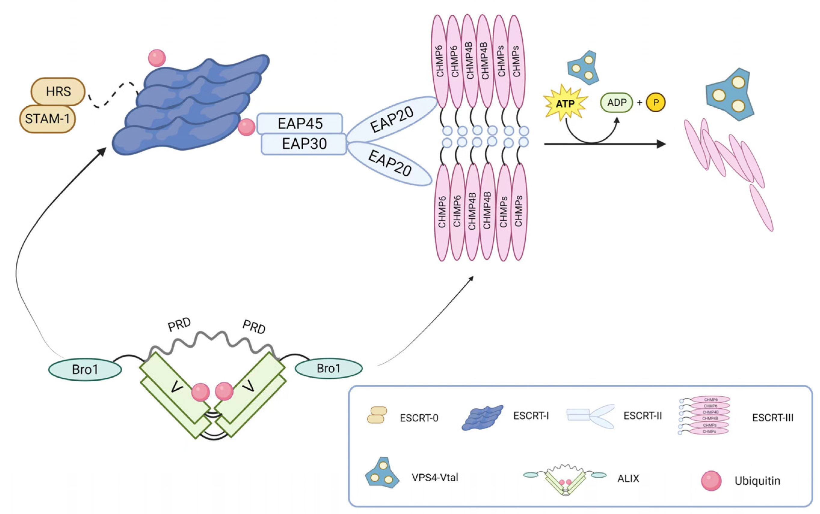 Preprints 79659 g001