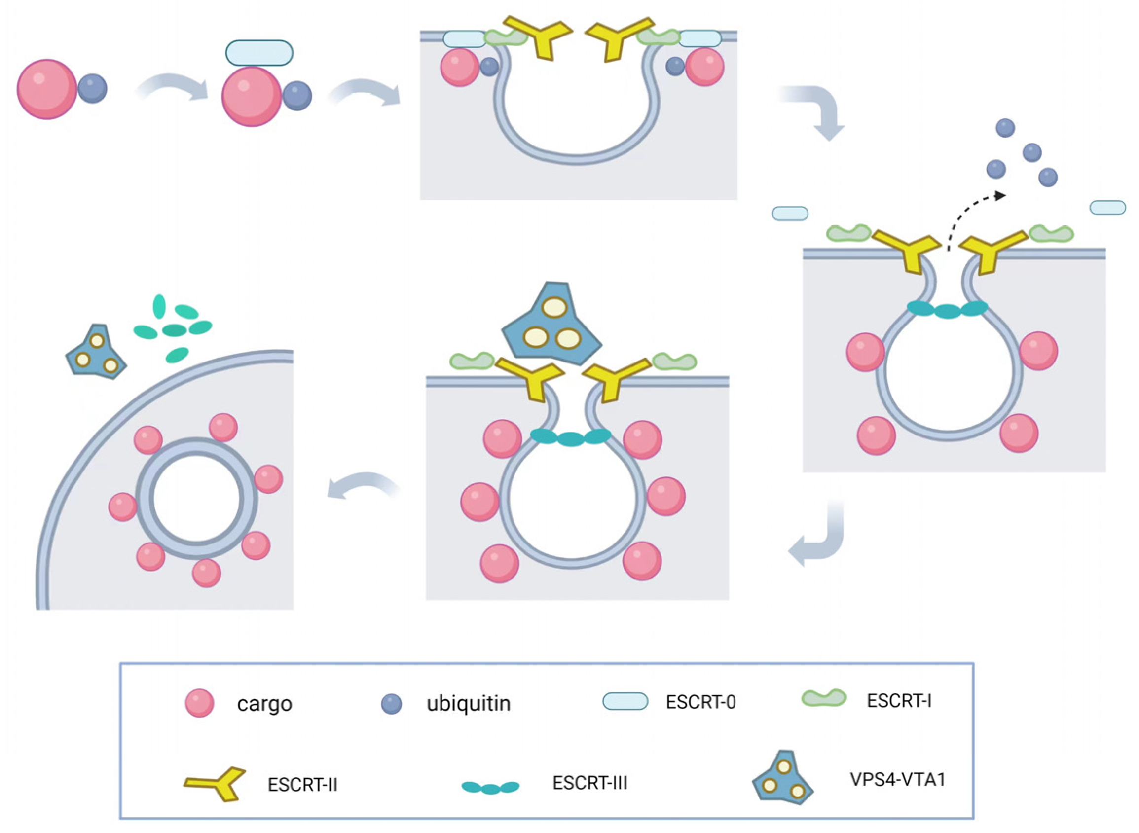 Preprints 79659 g002