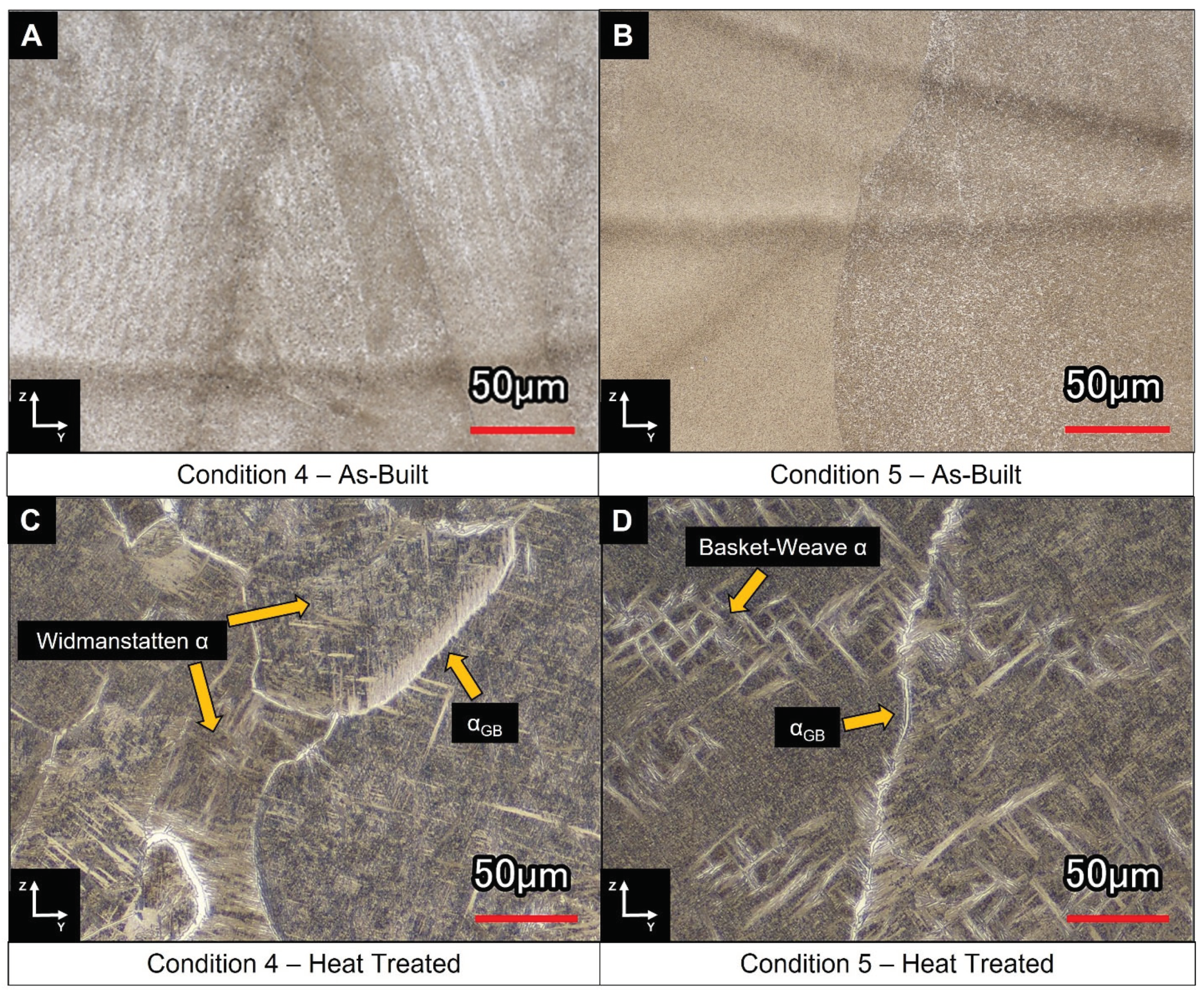 Preprints 100834 g011