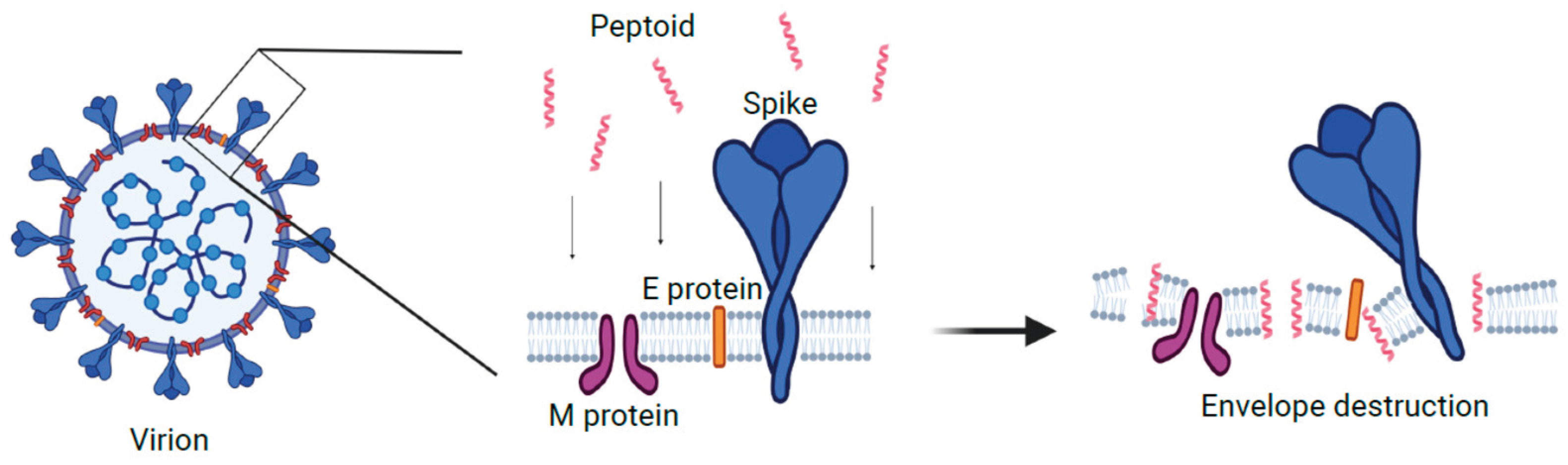 Preprints 99572 g005