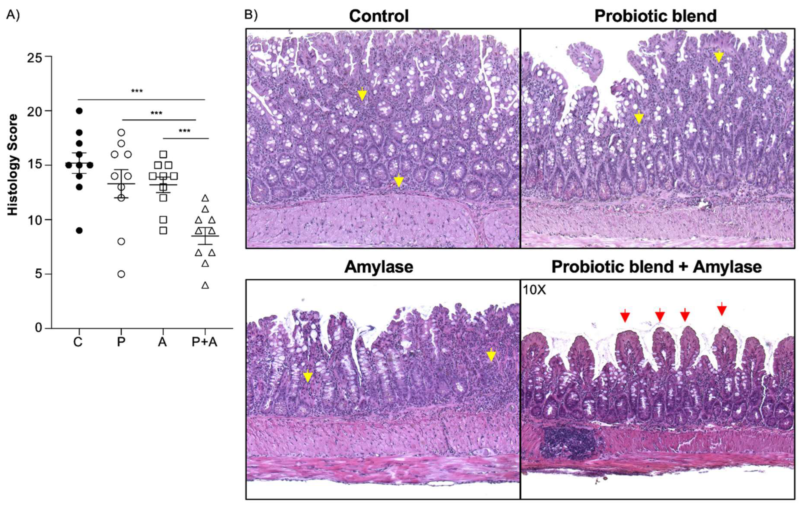 Preprints 119901 g001