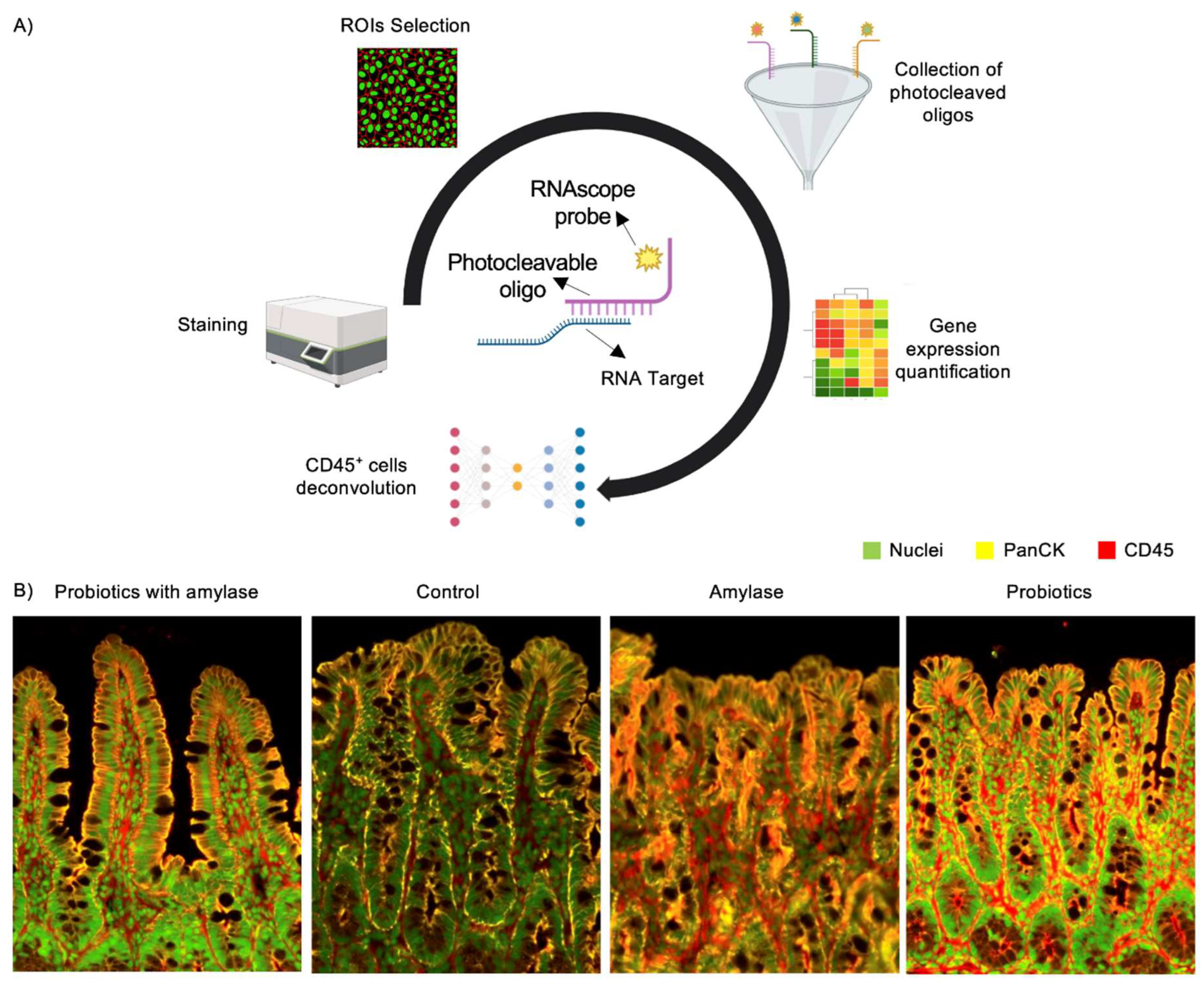 Preprints 119901 g002