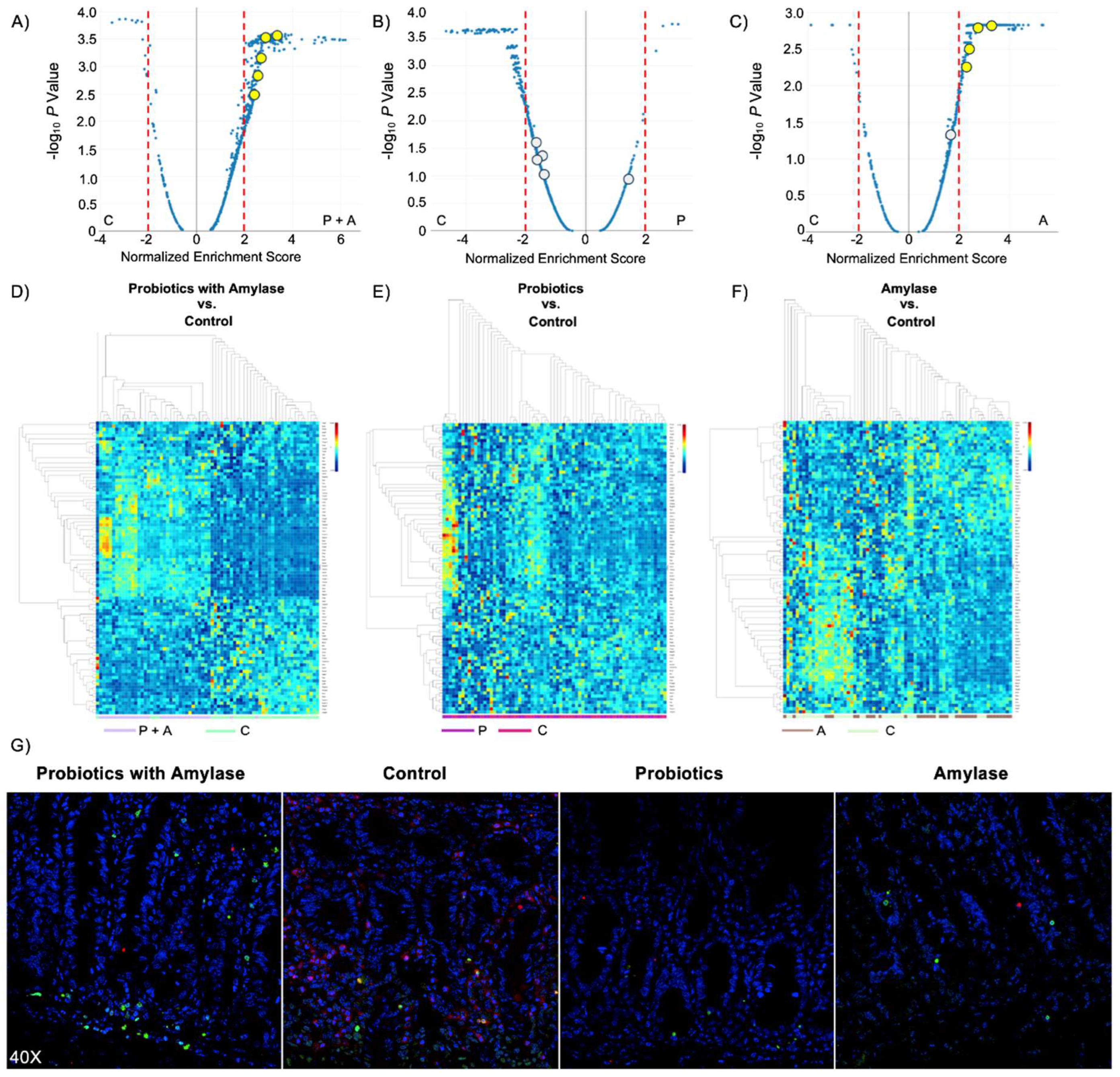 Preprints 119901 g004