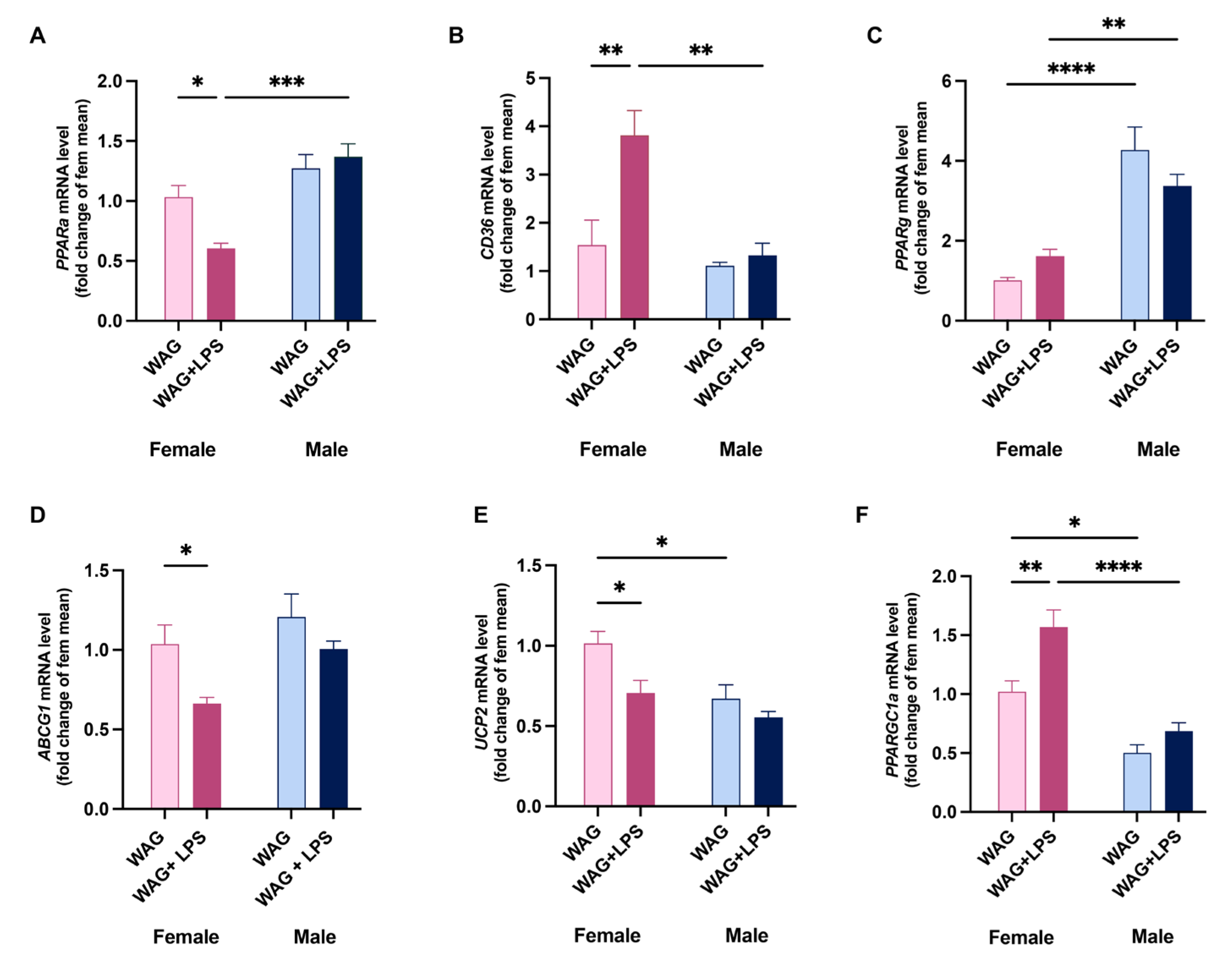 Preprints 111211 g004