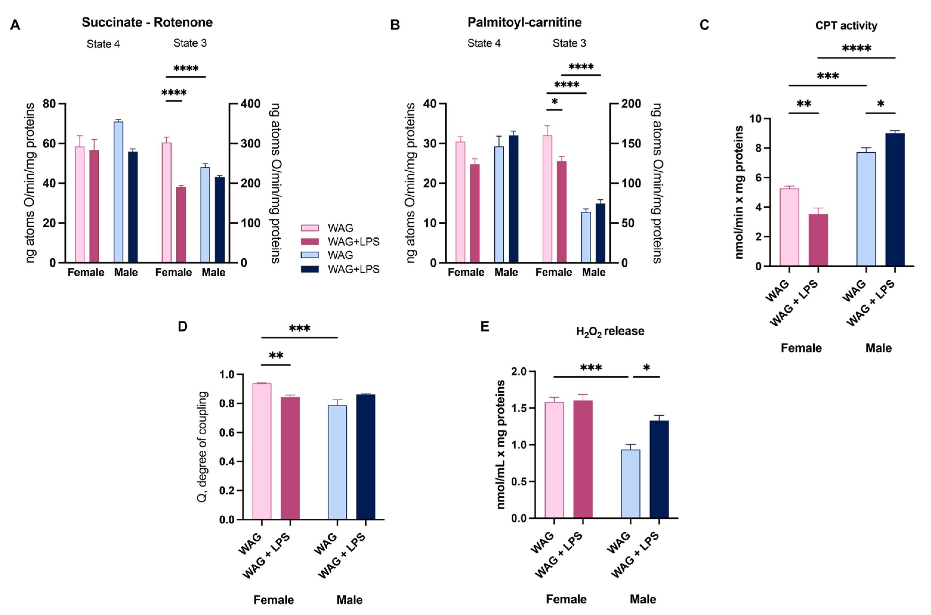 Preprints 111211 g005