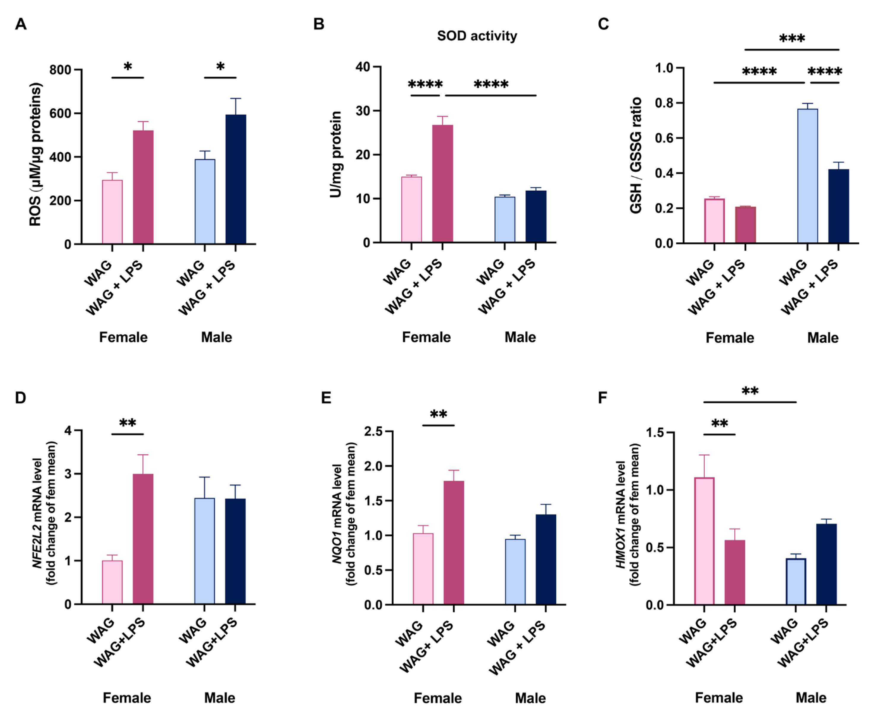 Preprints 111211 g006