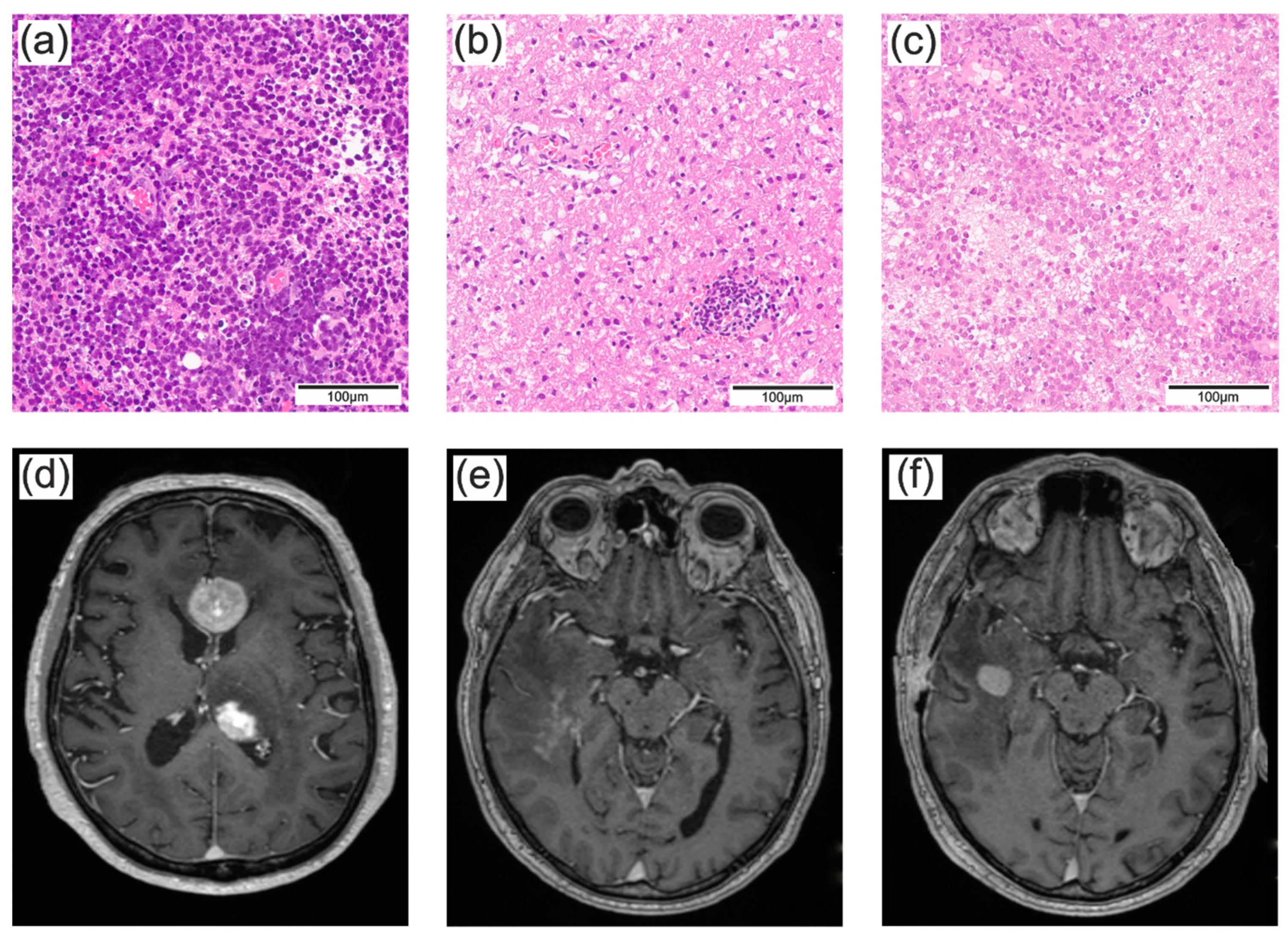 Preprints 99421 g001