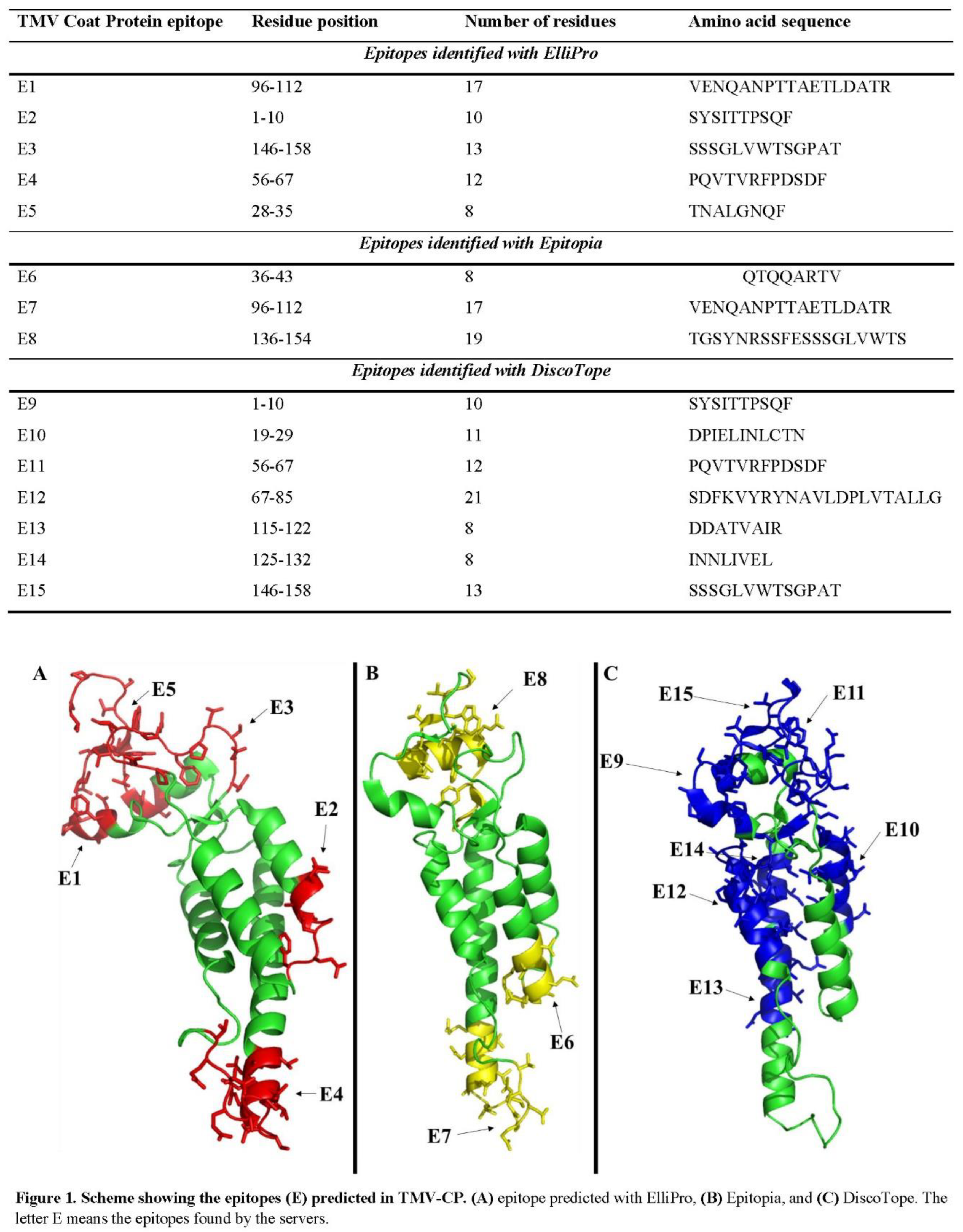 Preprints 73132 i002