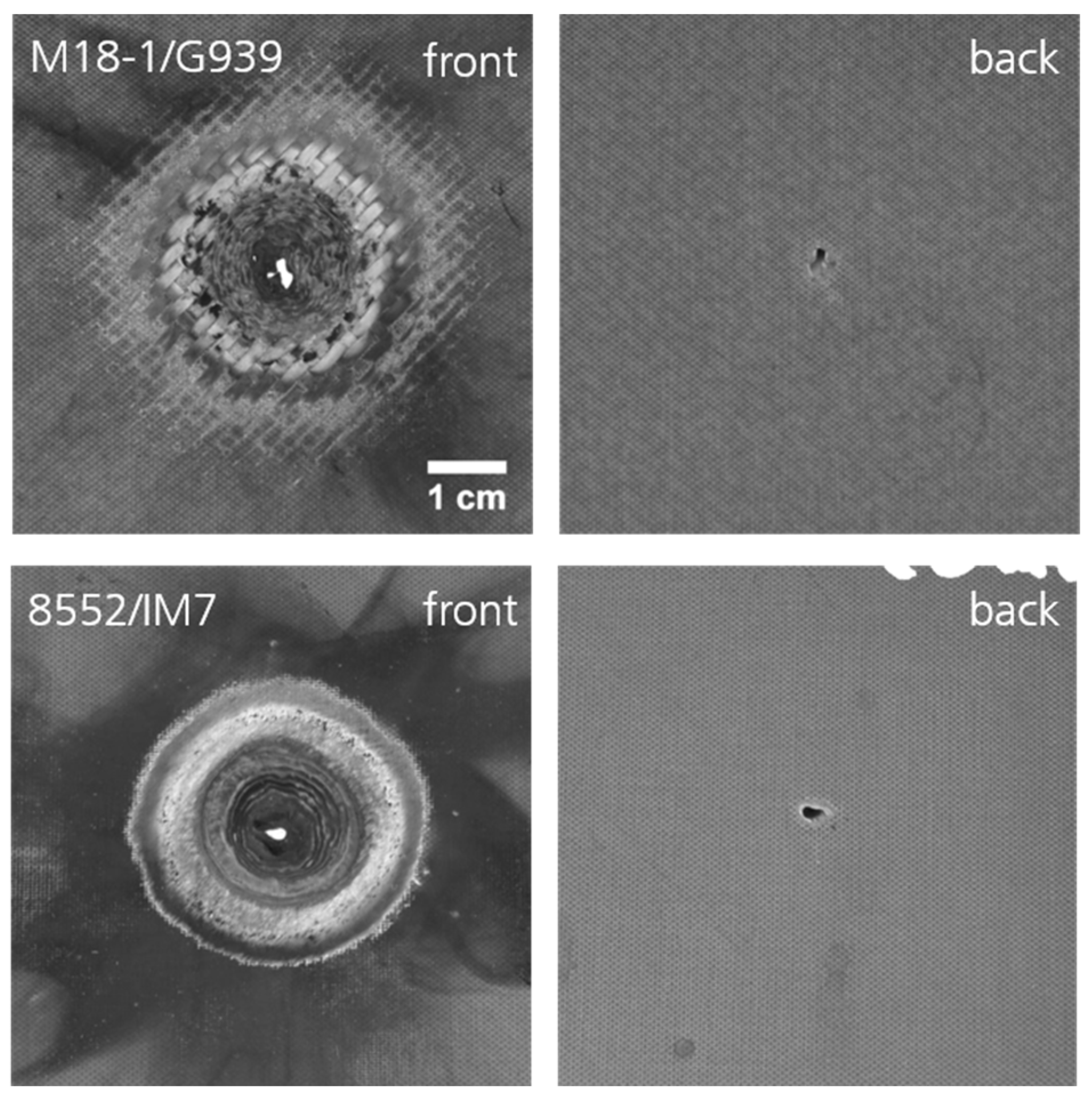 Preprints 116464 g003