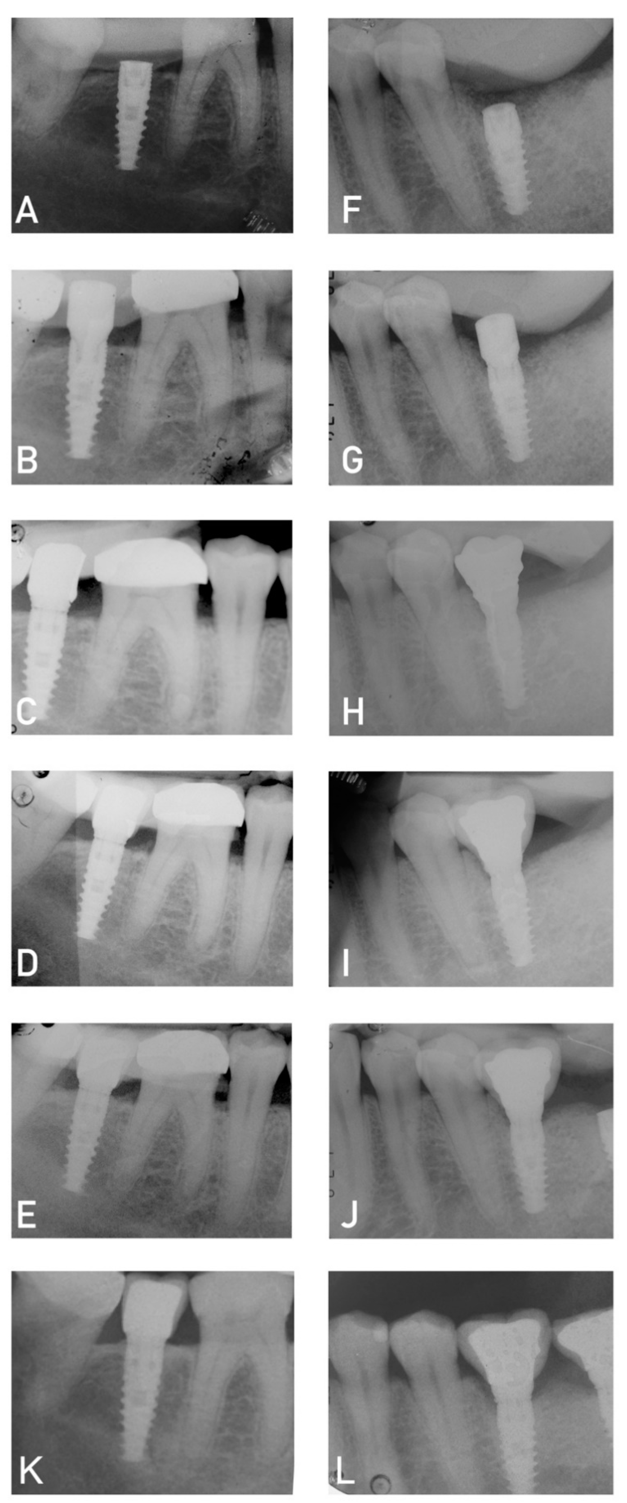 Preprints 81955 g004