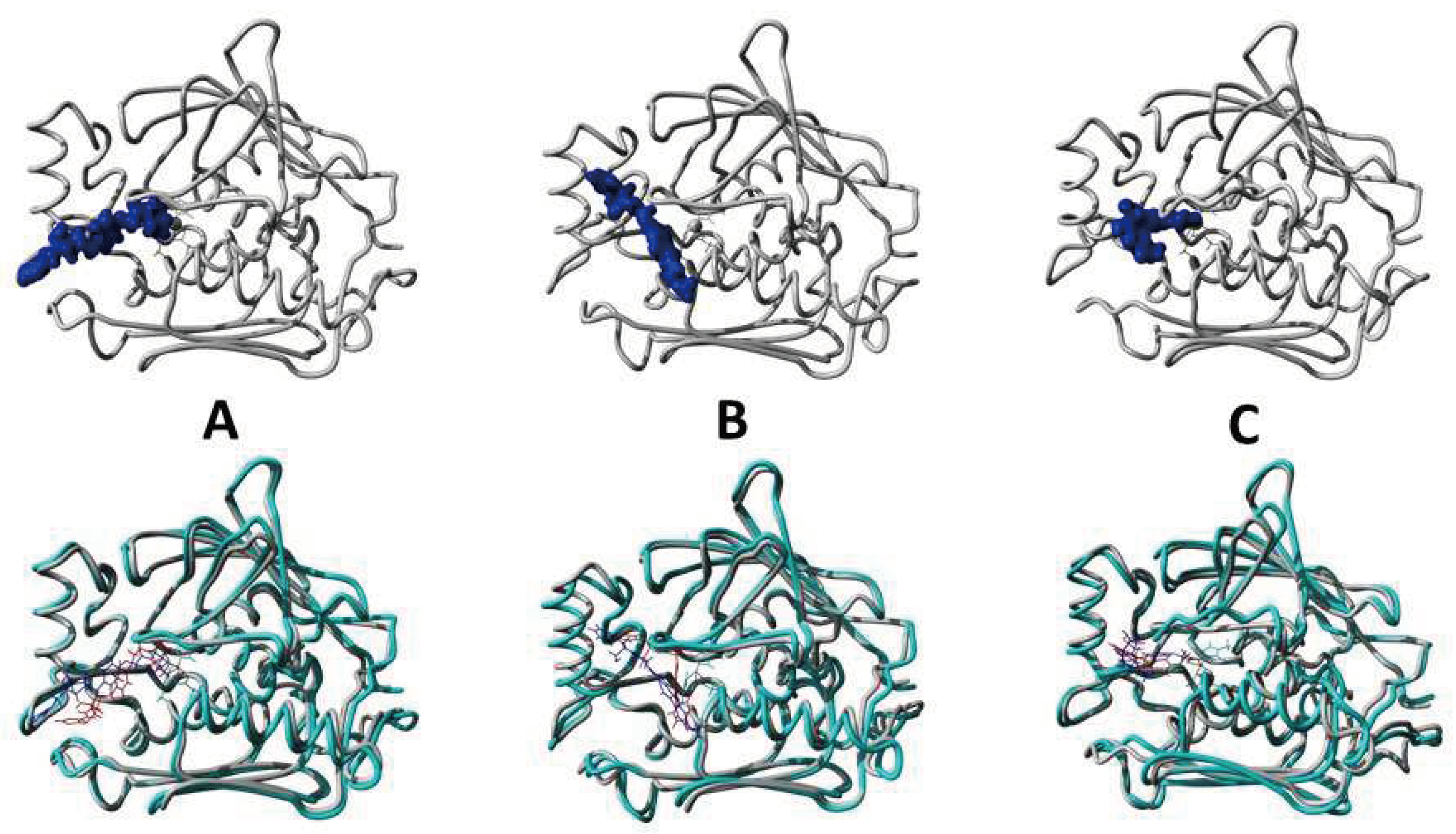 Preprints 94070 g012