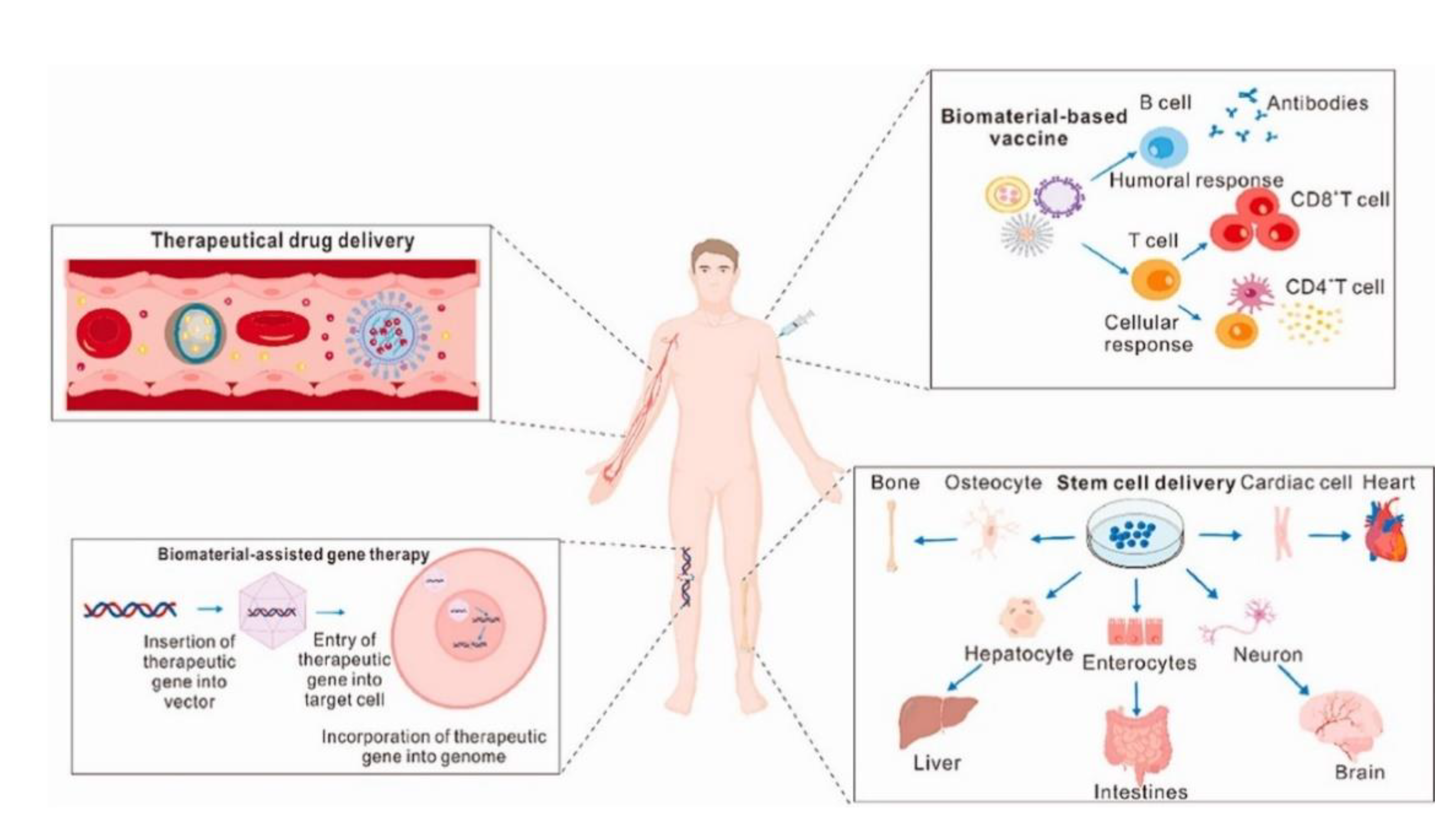 Preprints 119325 g003