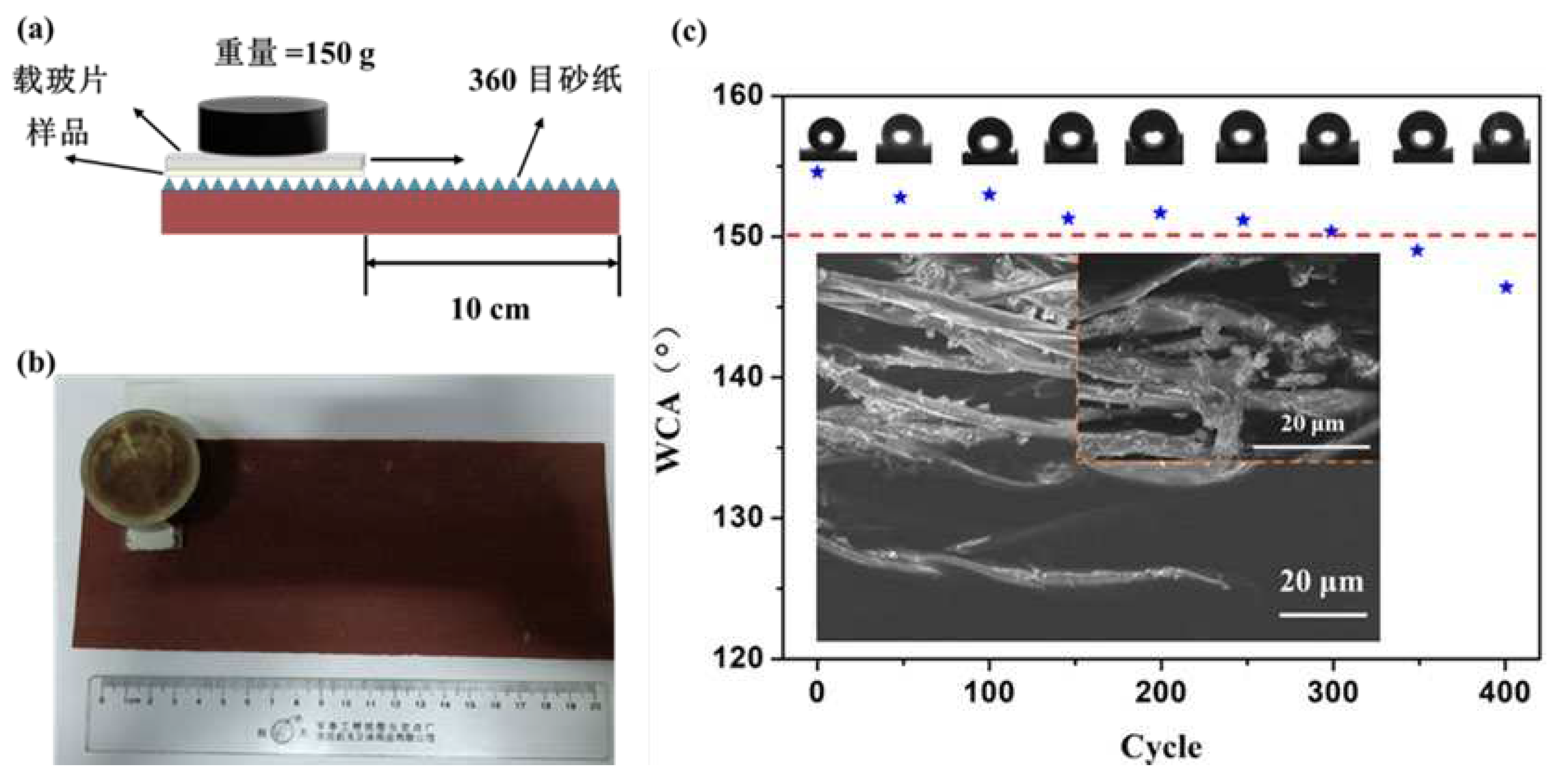 Preprints 71019 g009