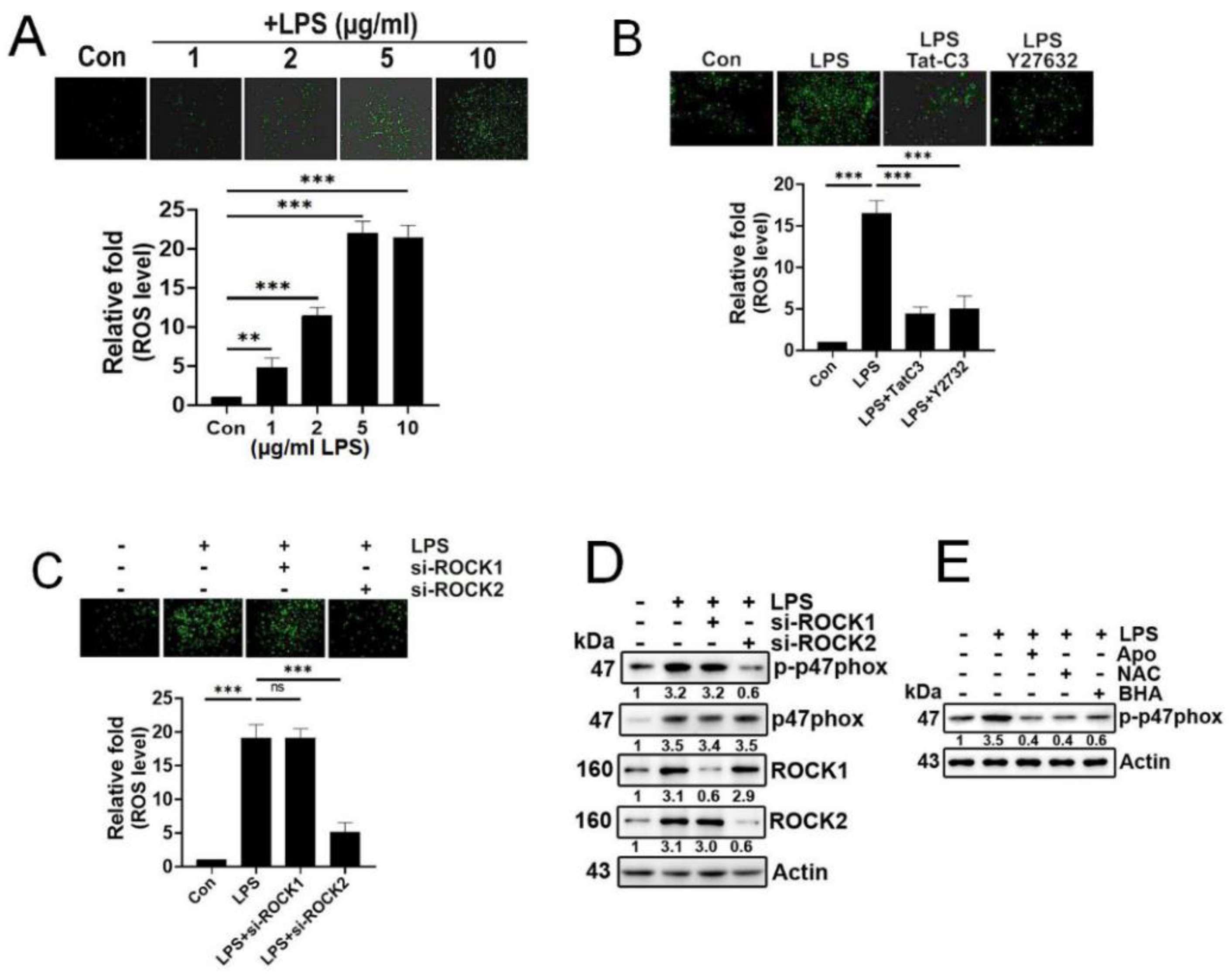 Preprints 88877 g001