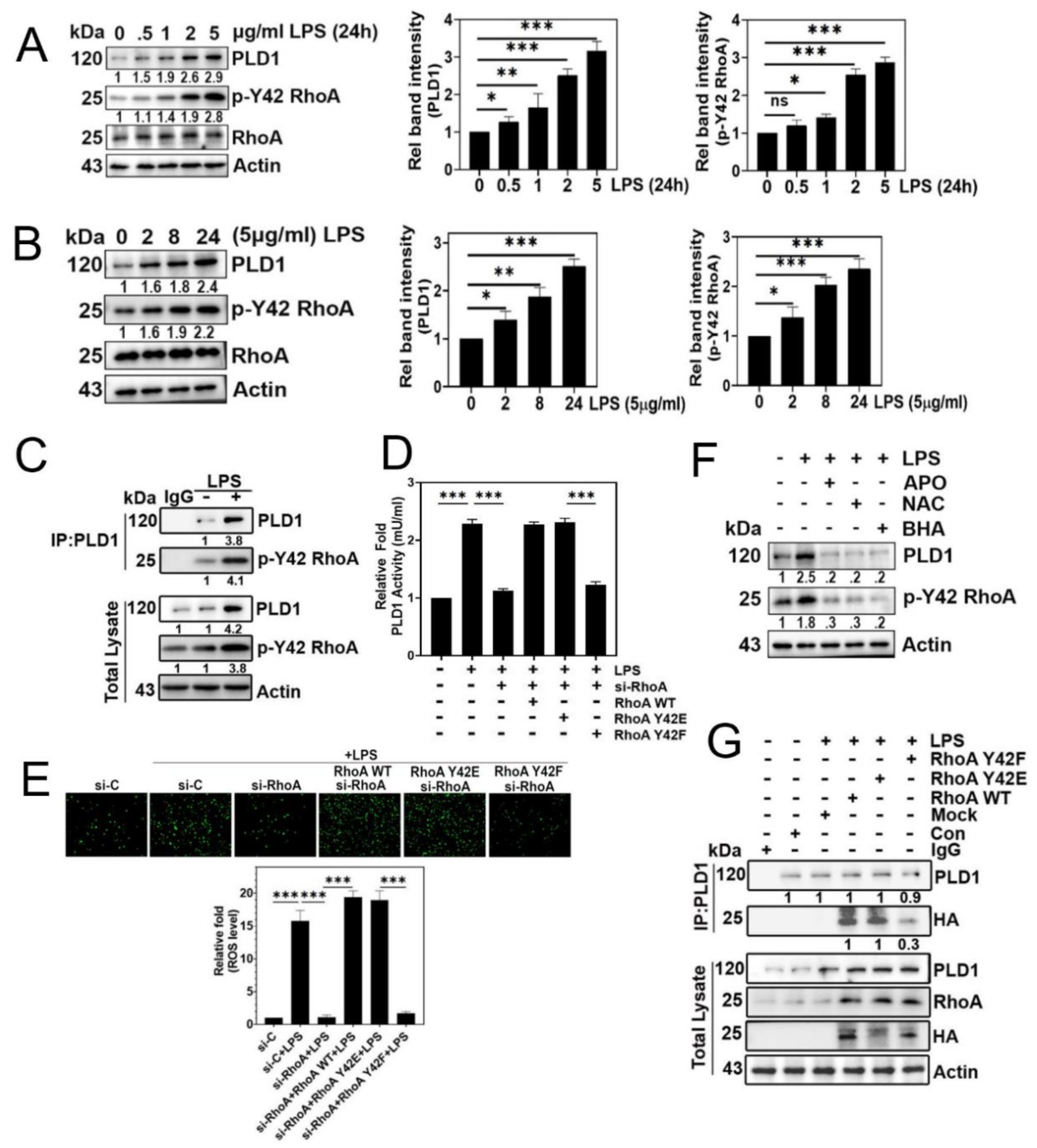 Preprints 88877 g002