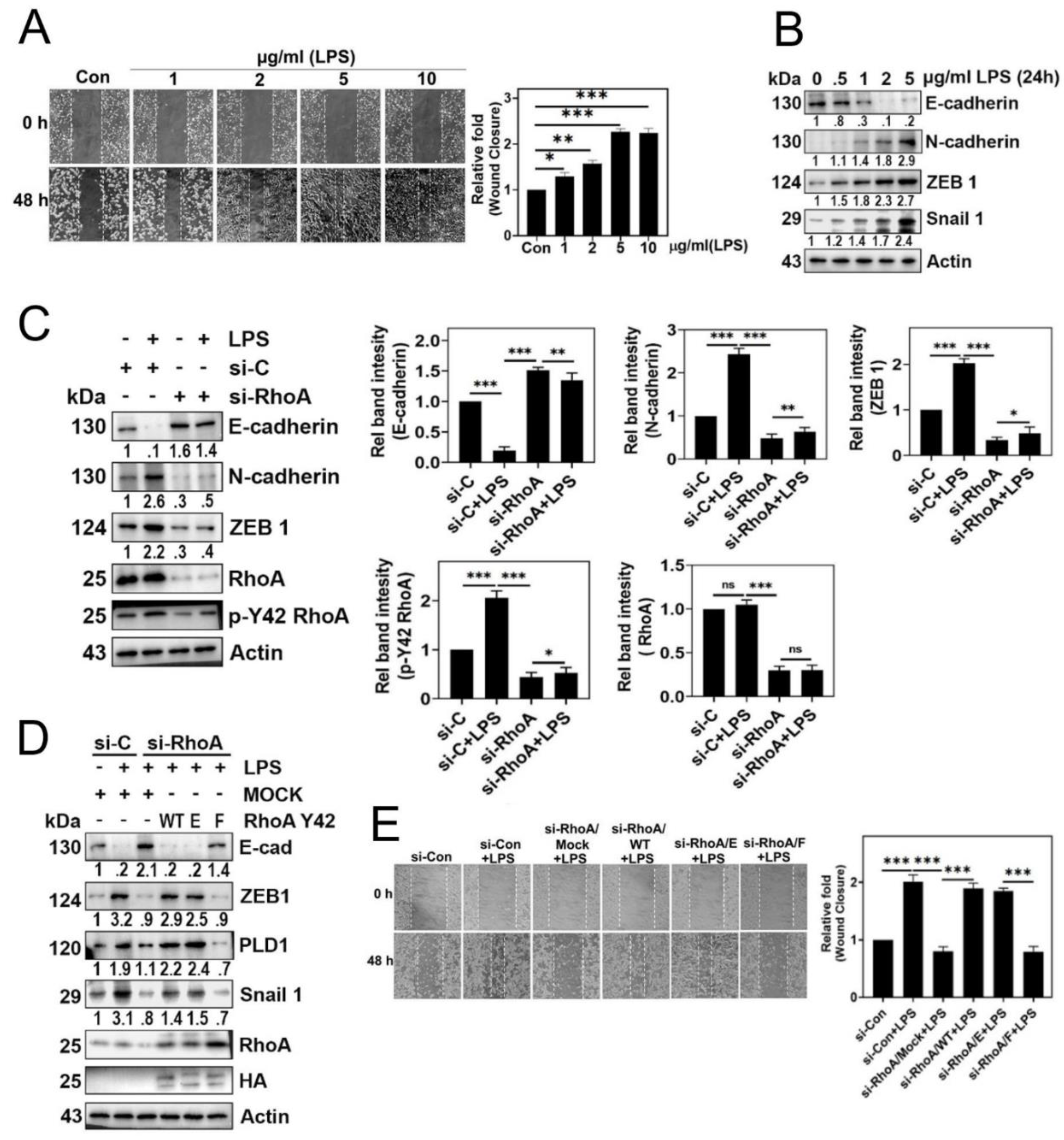 Preprints 88877 g003