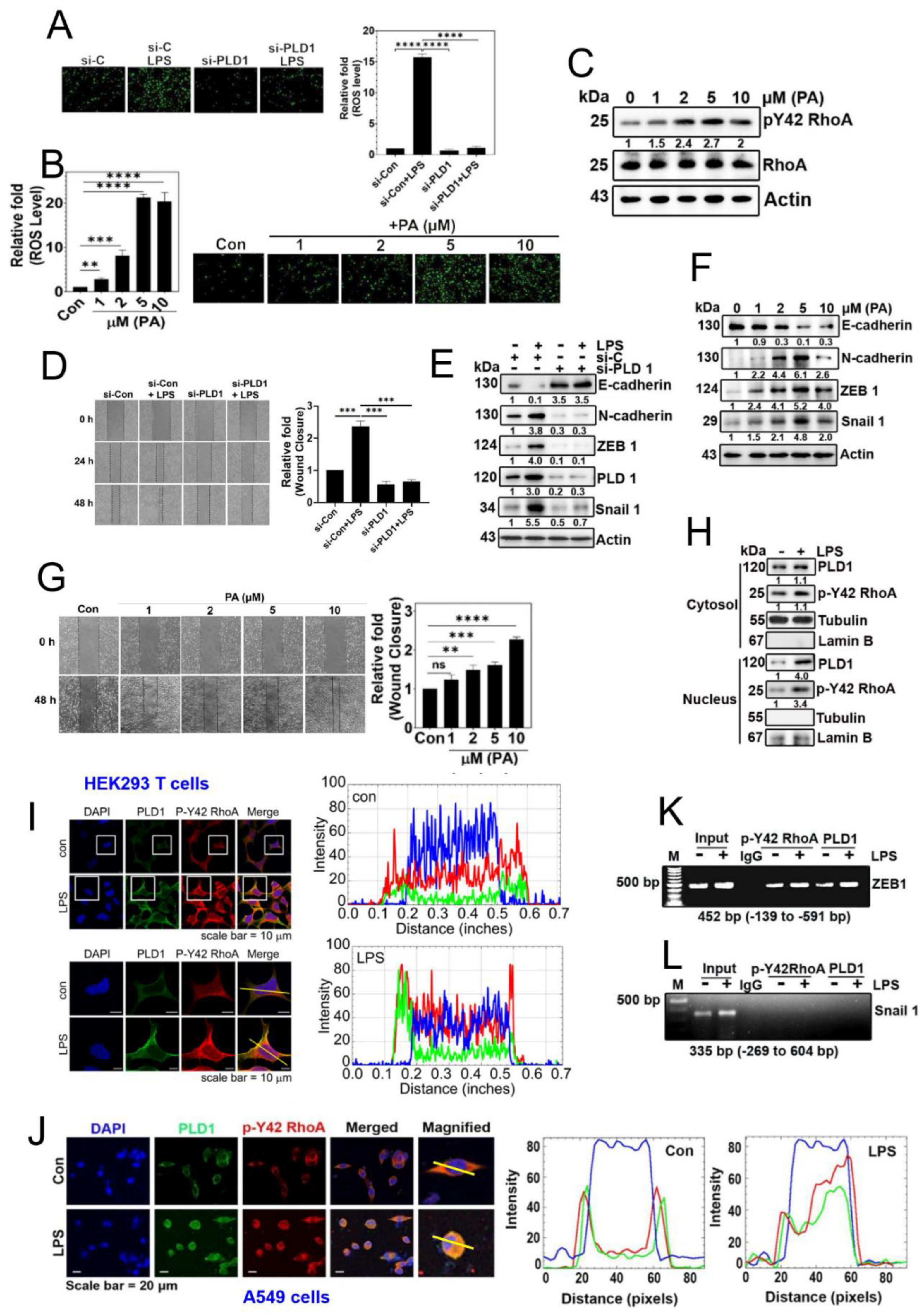 Preprints 88877 g004