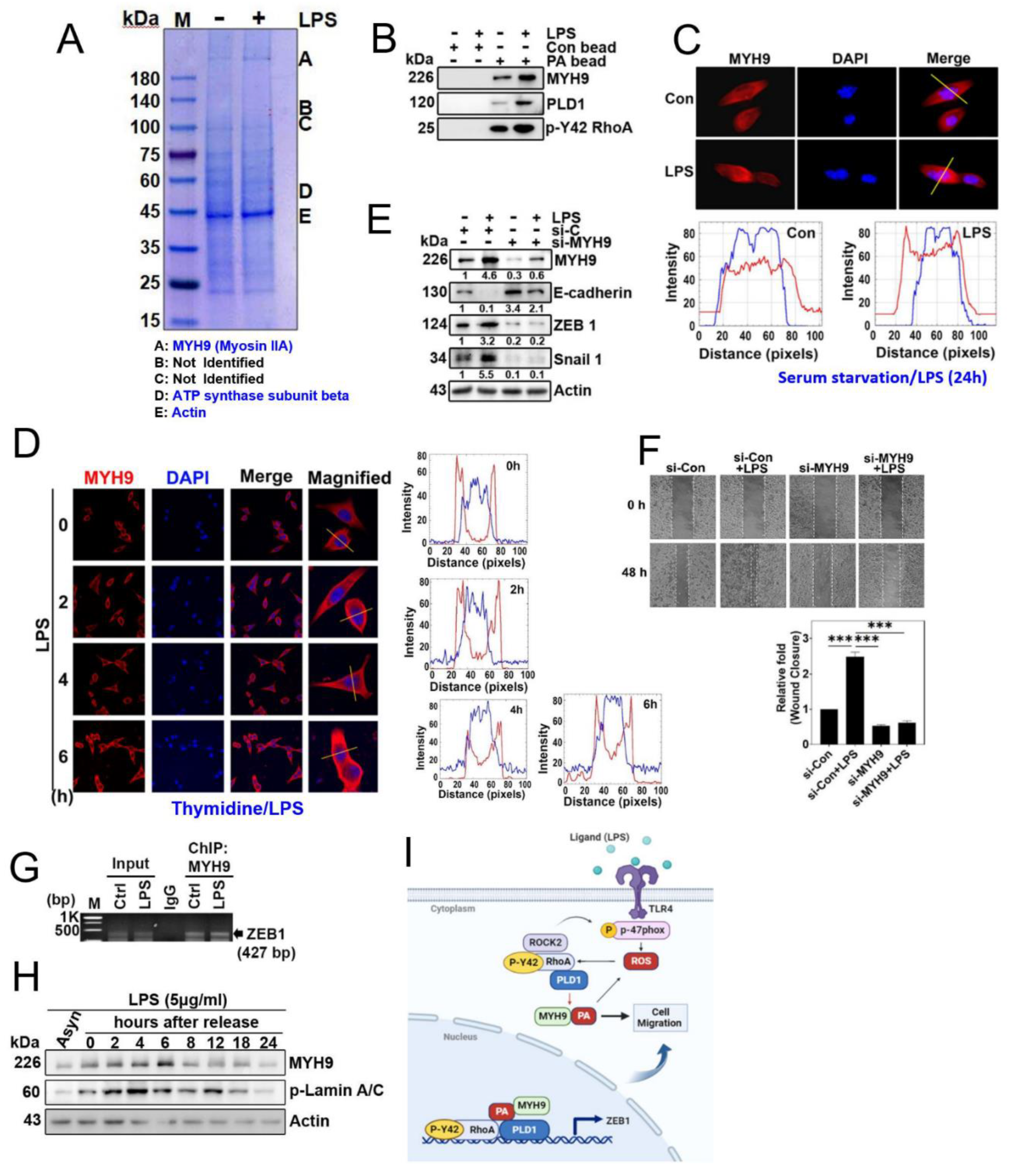 Preprints 88877 g005