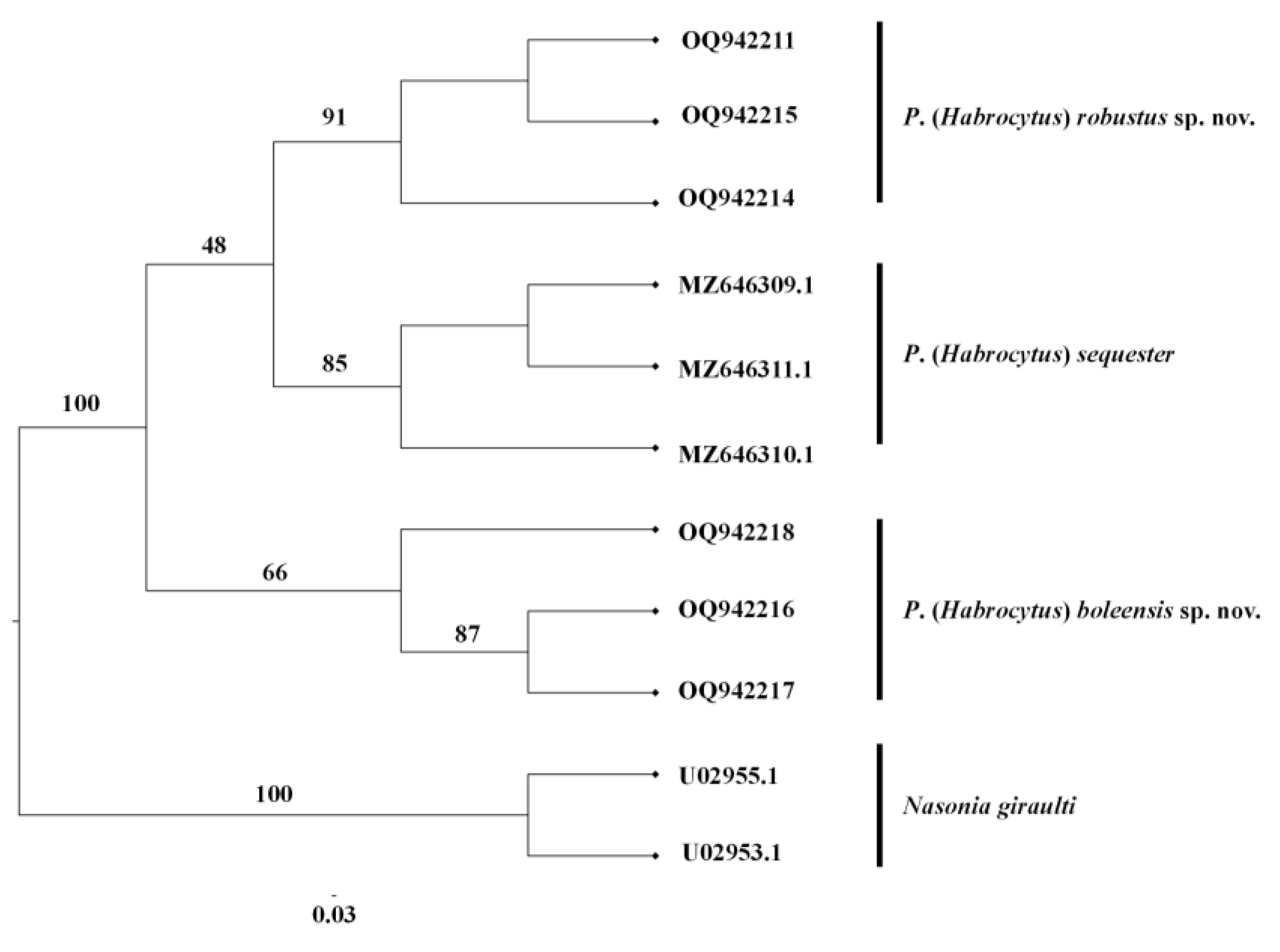 Preprints 76241 g004