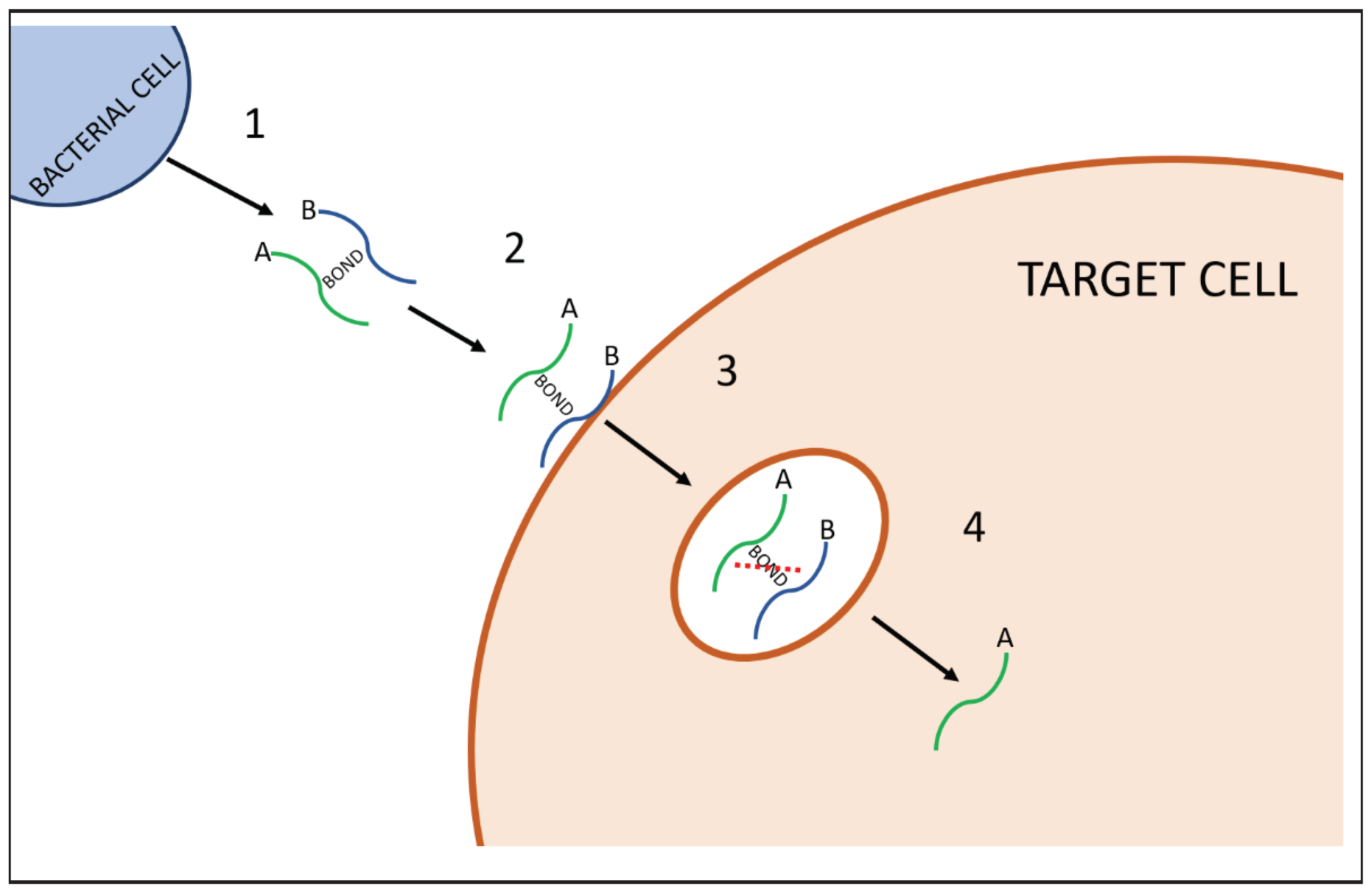 Preprints 69068 g001