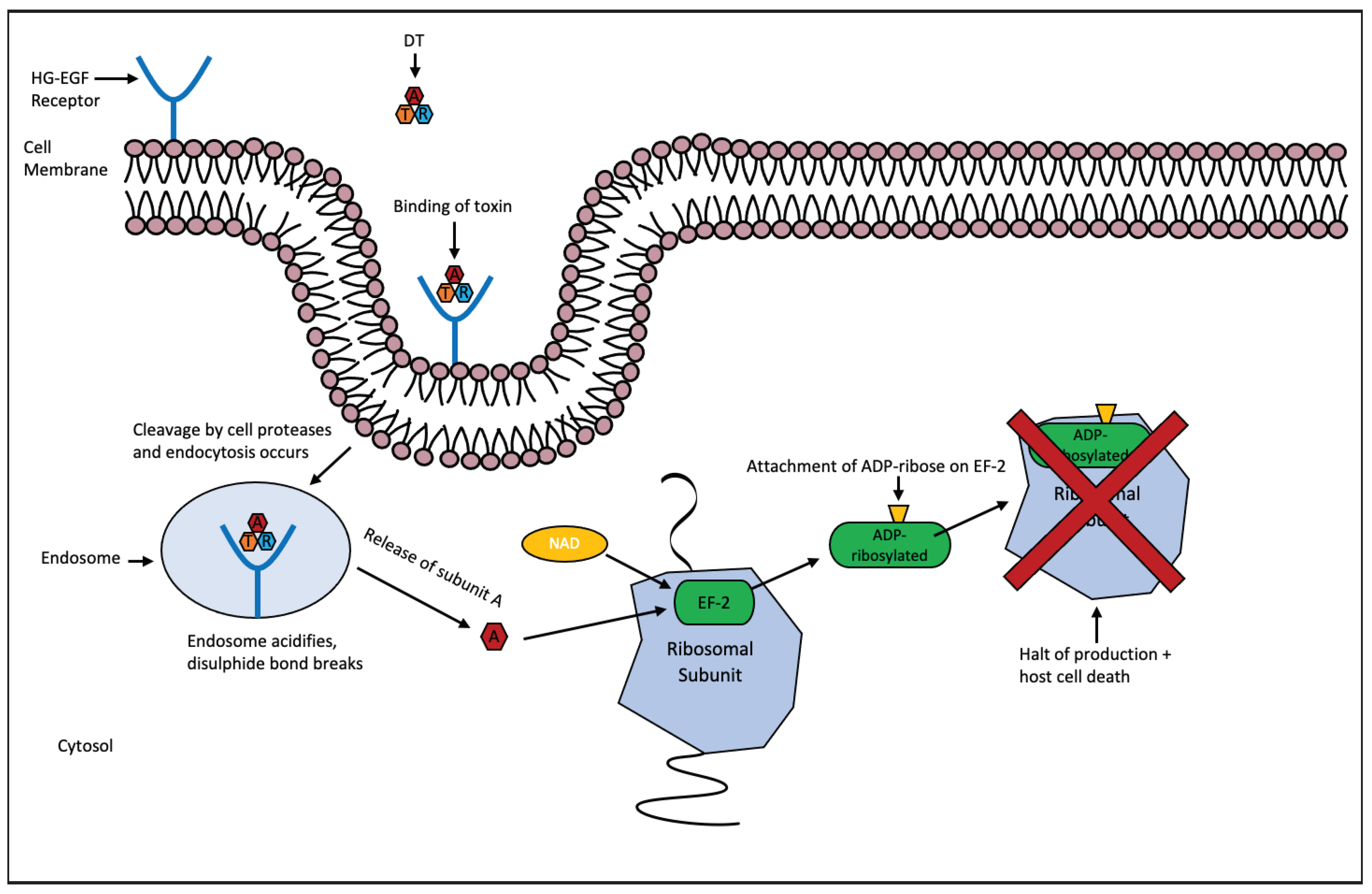 Preprints 69068 g002