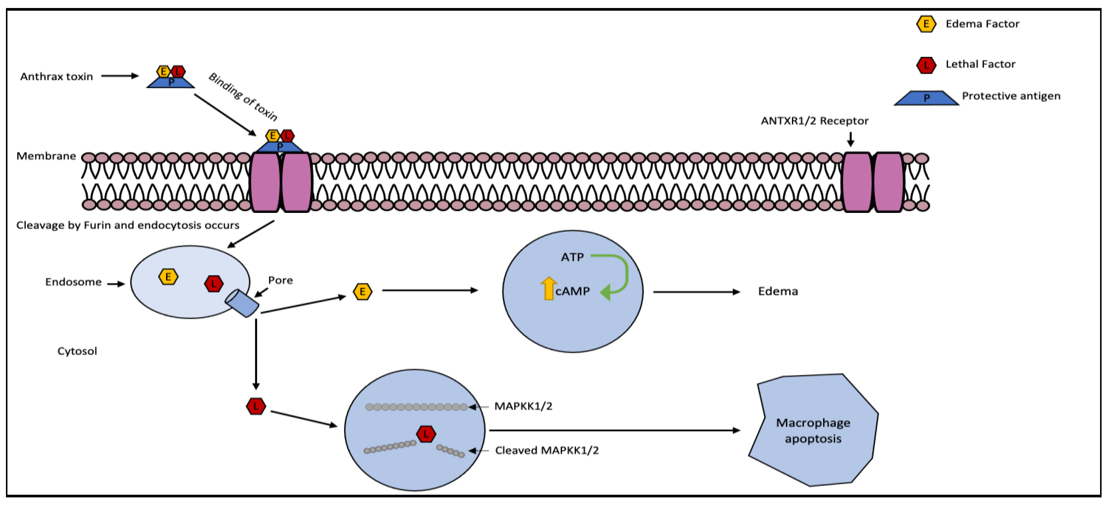 Preprints 69068 g003