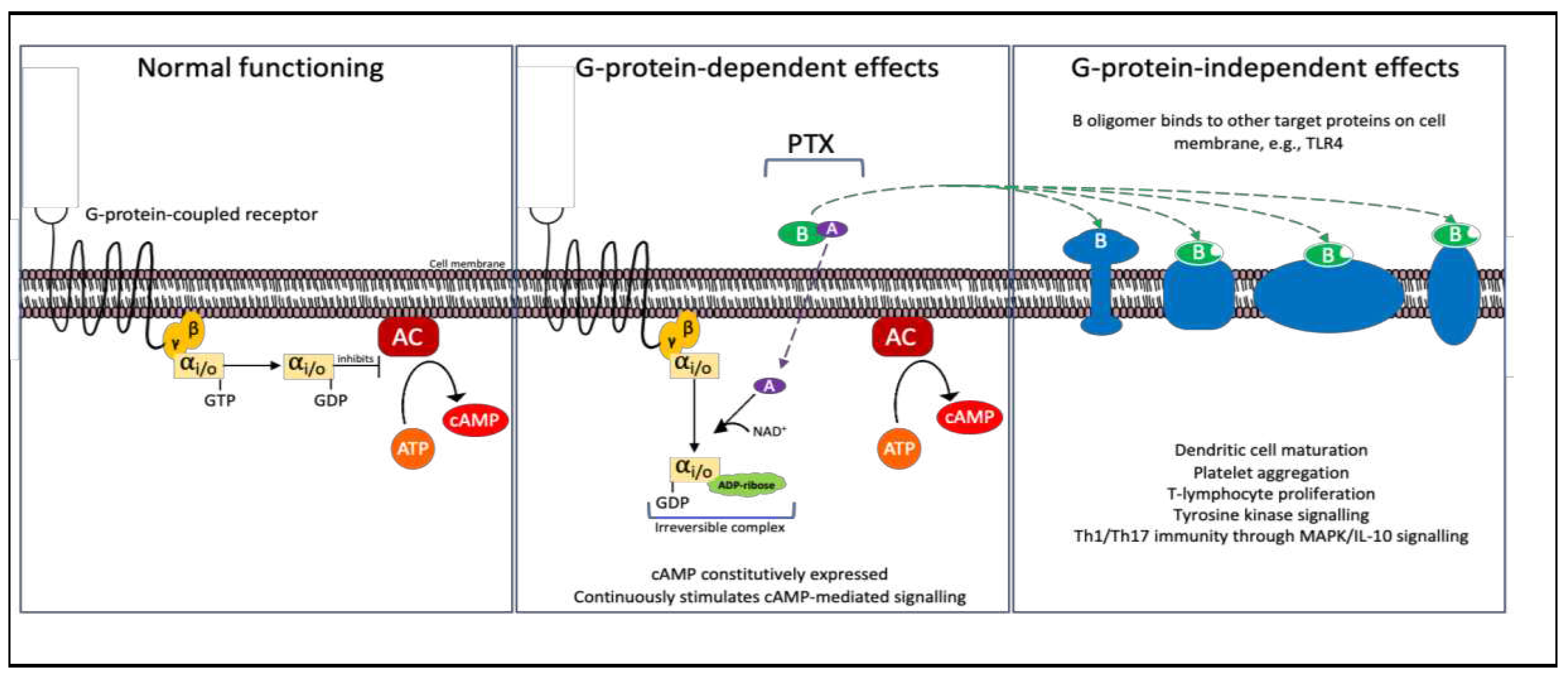 Preprints 69068 g007