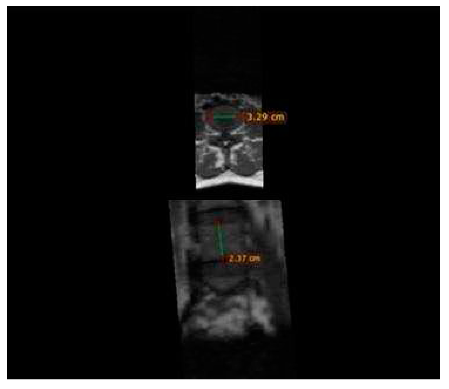 Preprints 89477 g001