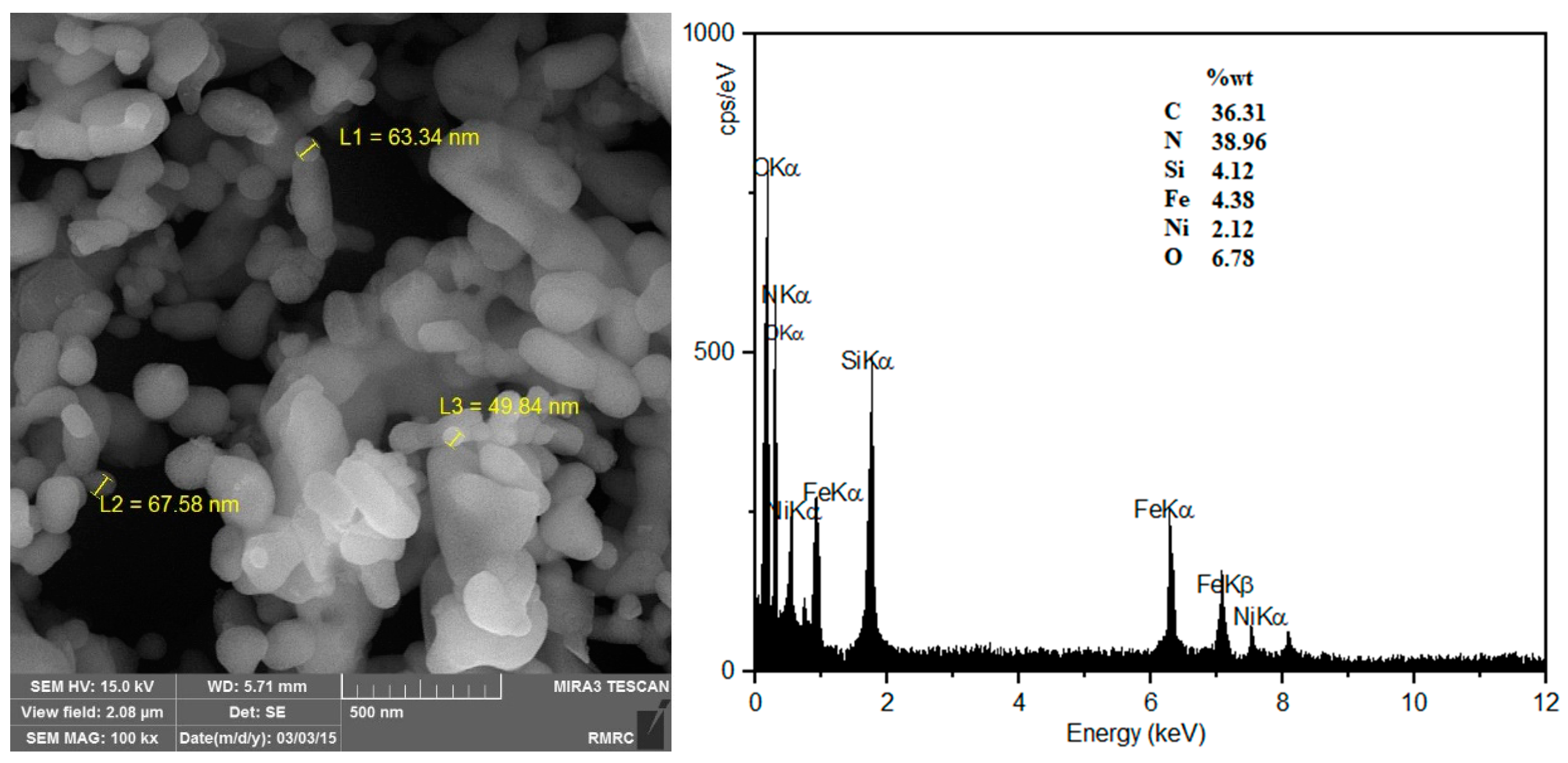 Preprints 92196 g003