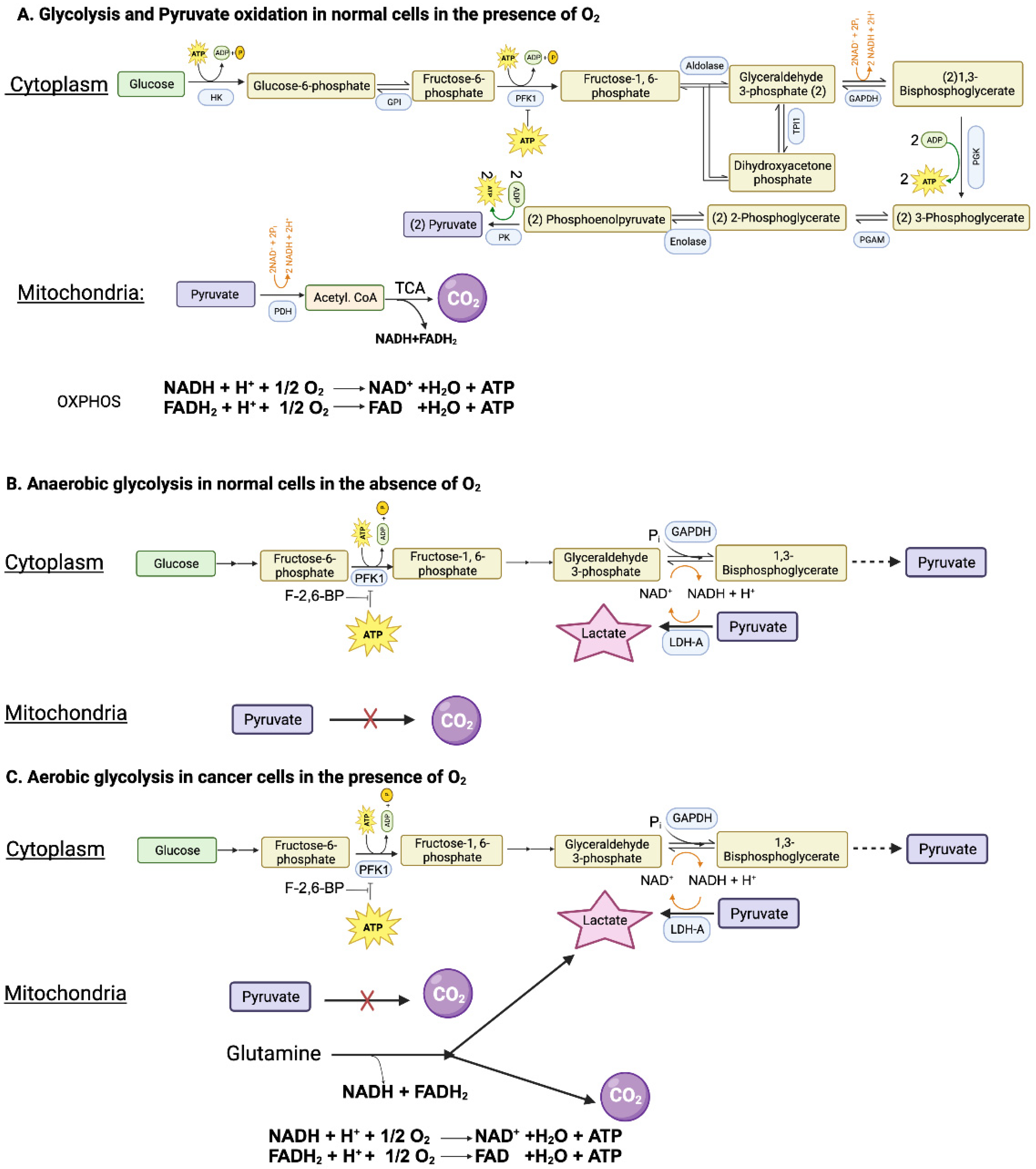 Preprints 93734 g001