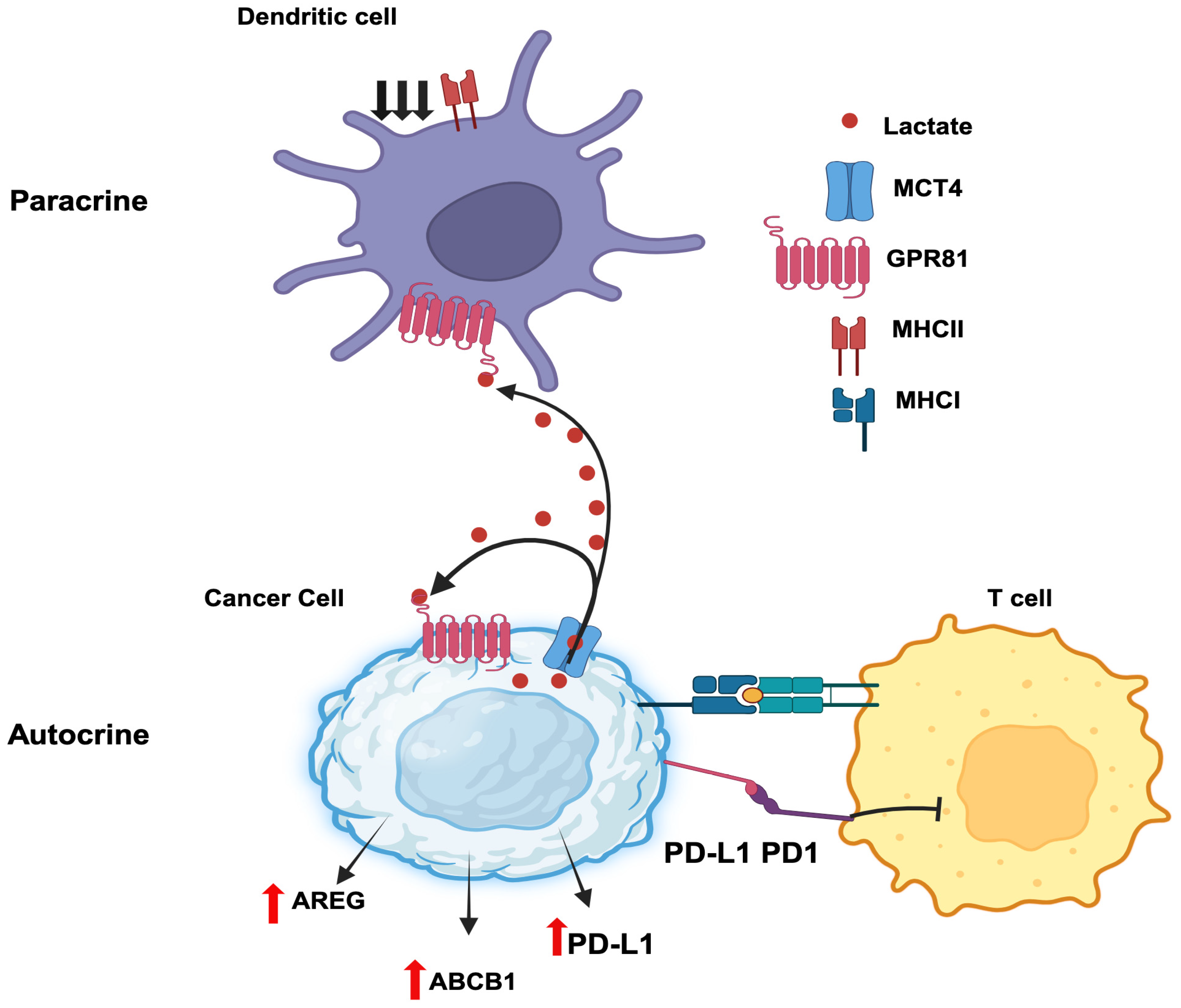 Preprints 93734 g003