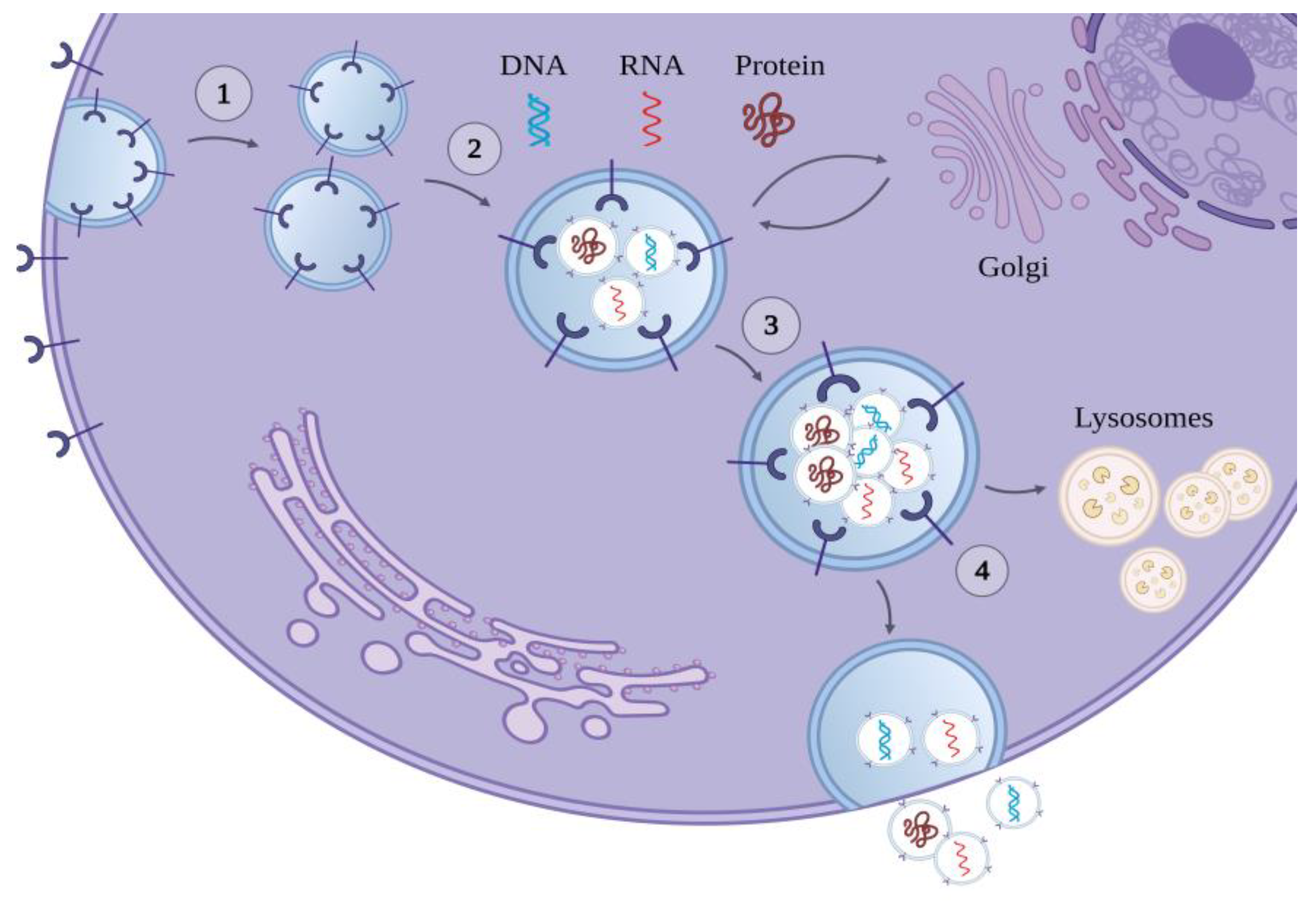 Preprints 107368 g001