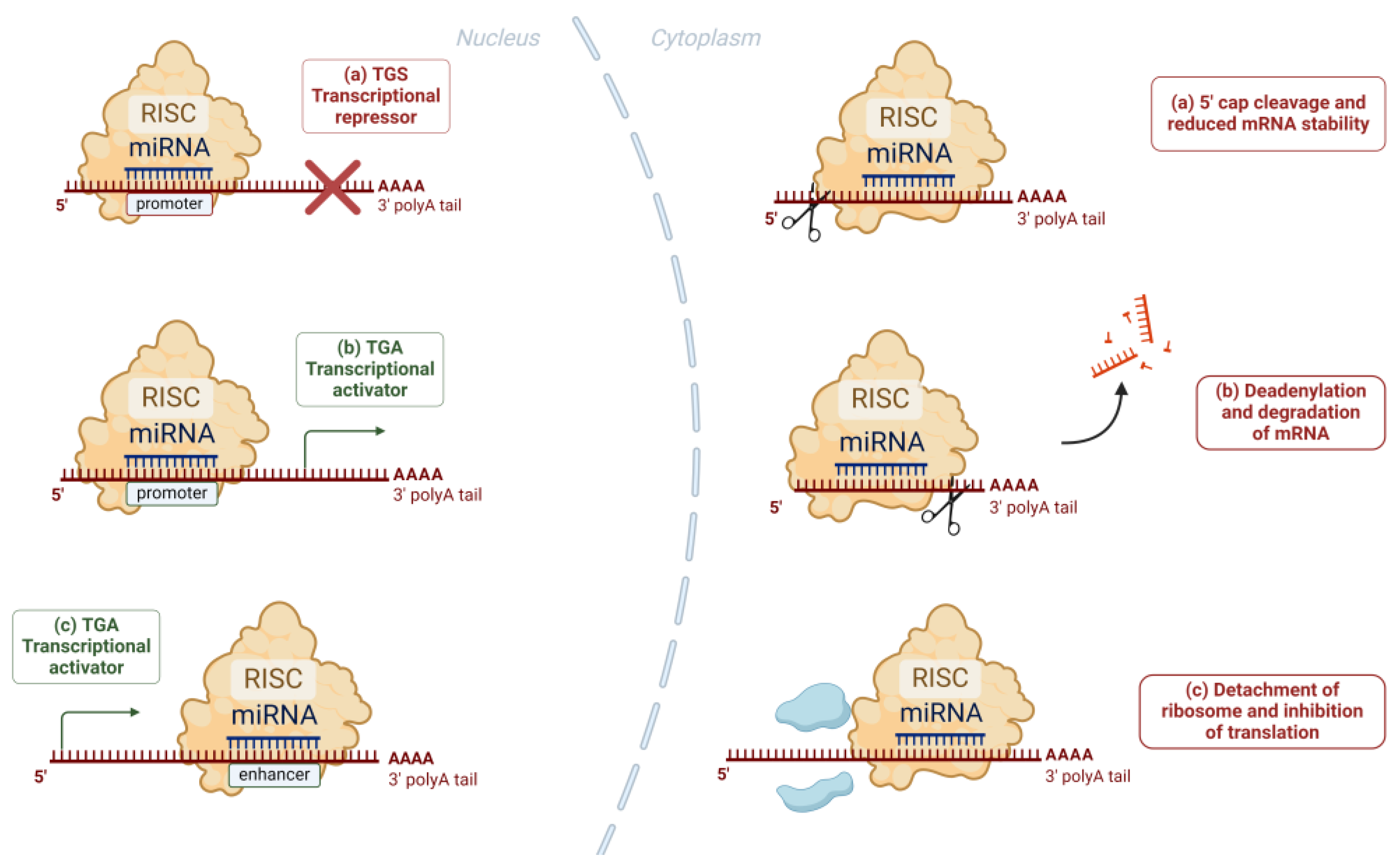 Preprints 107368 g002