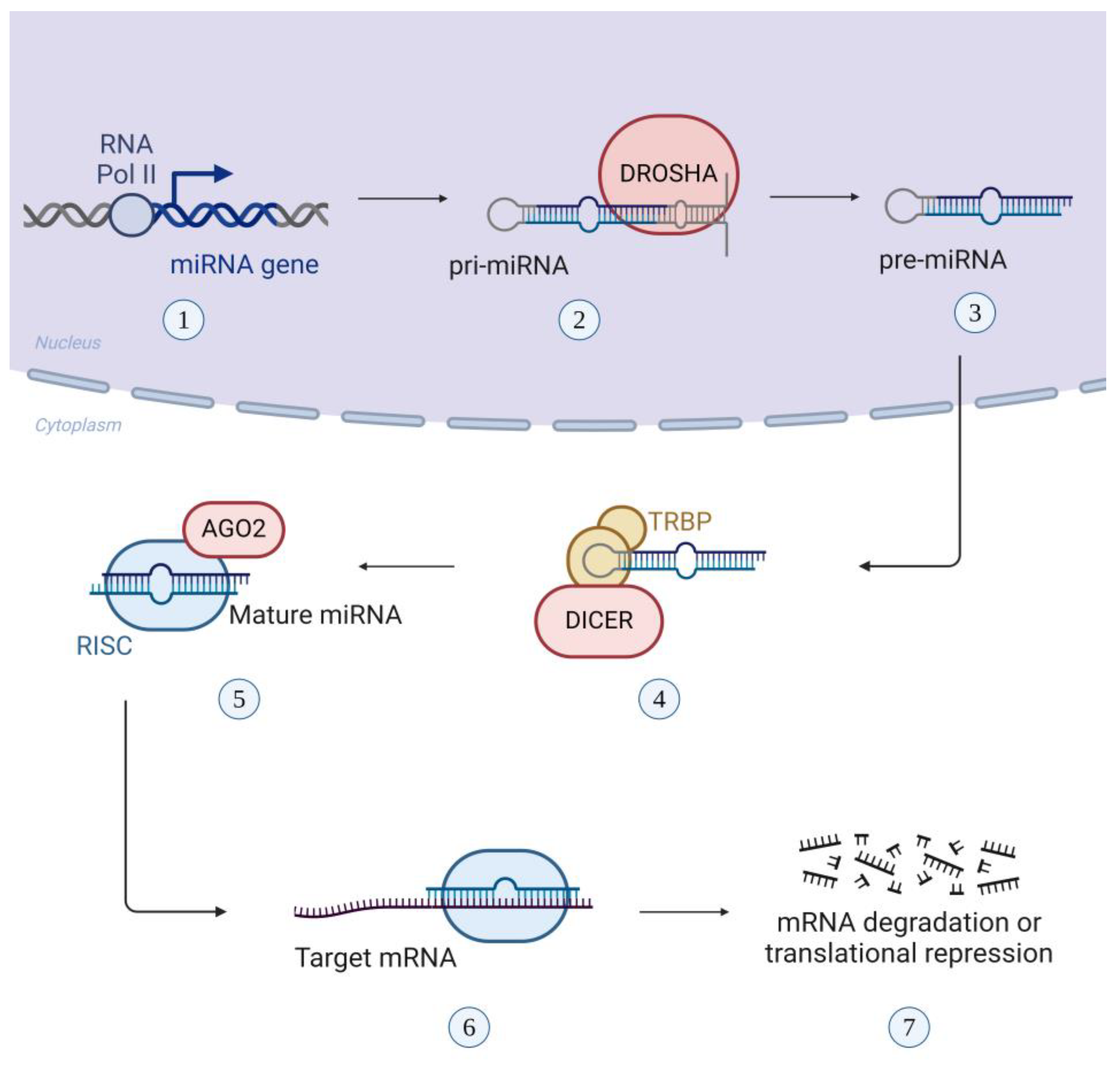 Preprints 107368 g003