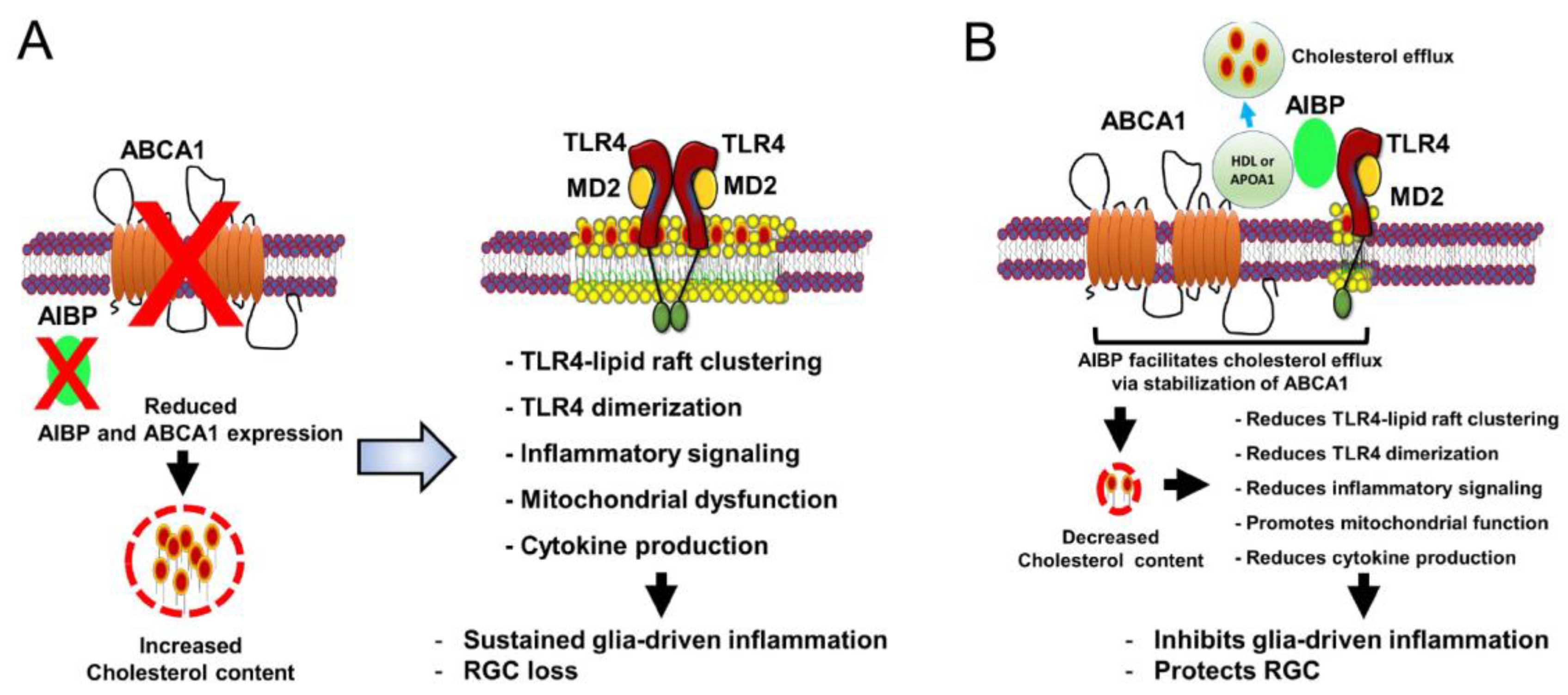 Preprints 93323 g001