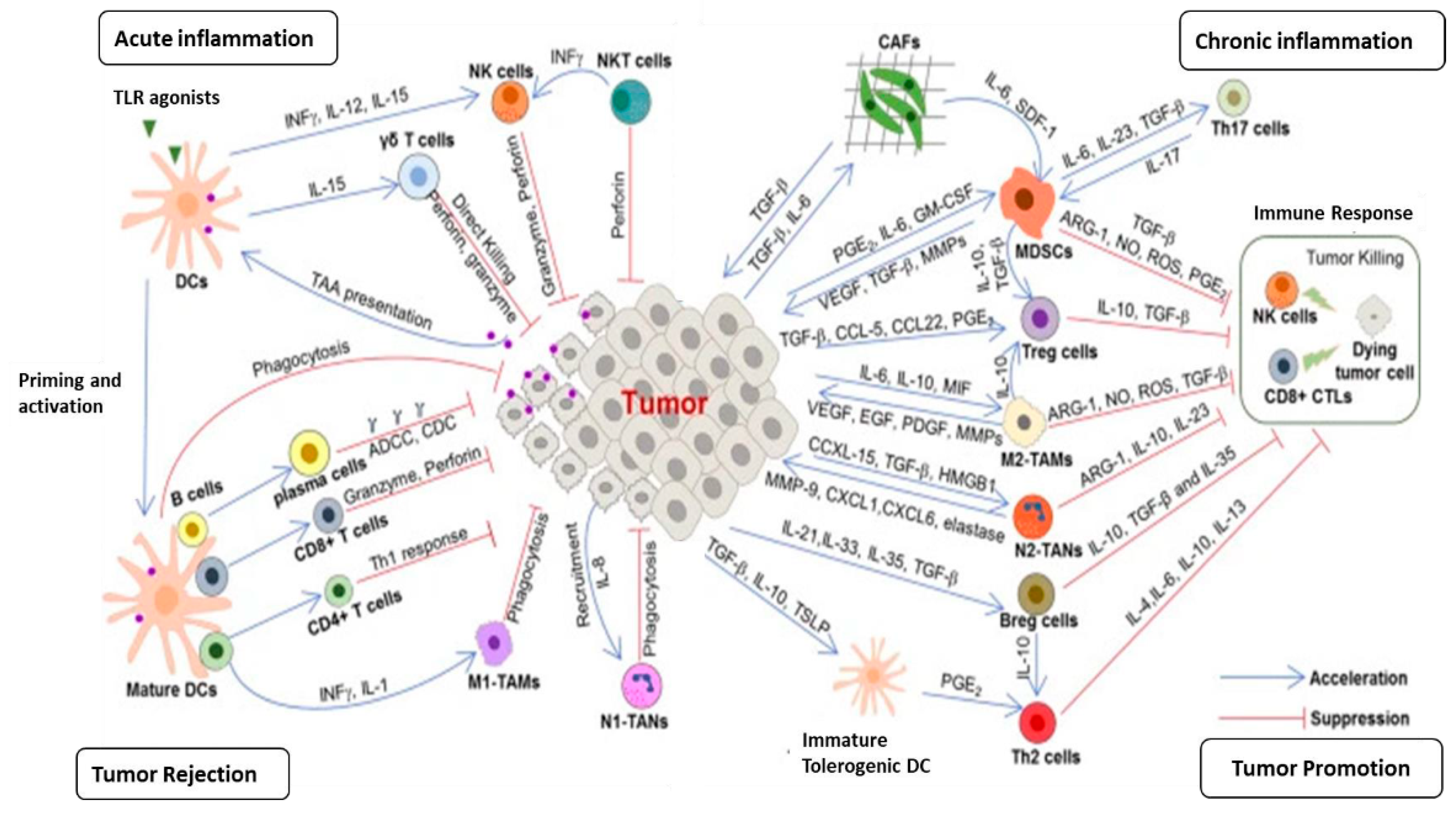 Preprints 121902 g001