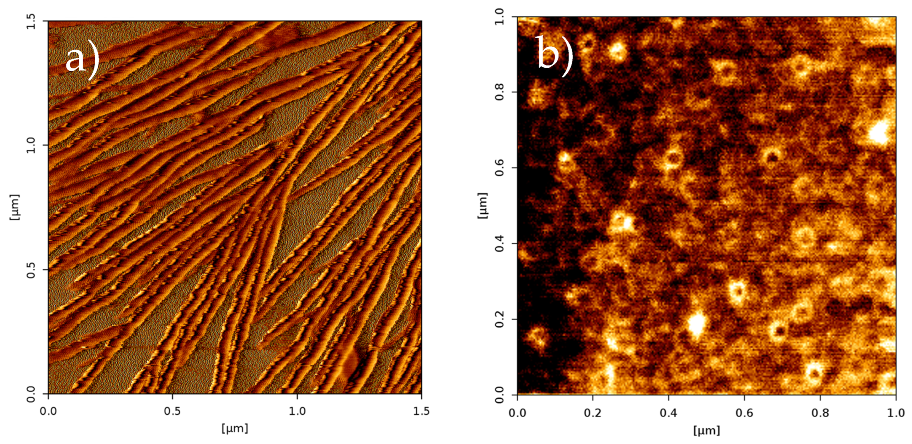 Preprints 104275 g003