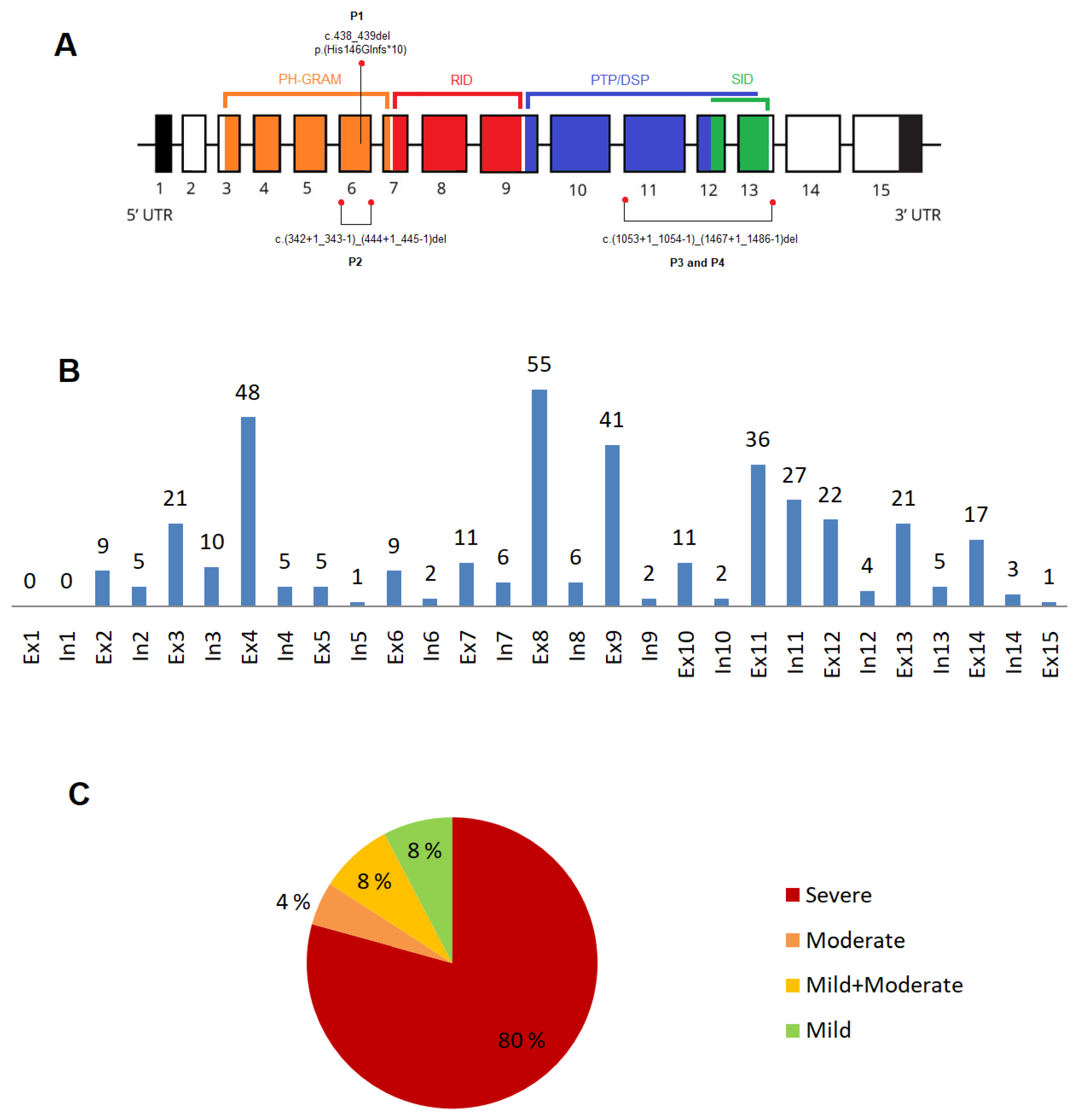 Preprints 90400 g001