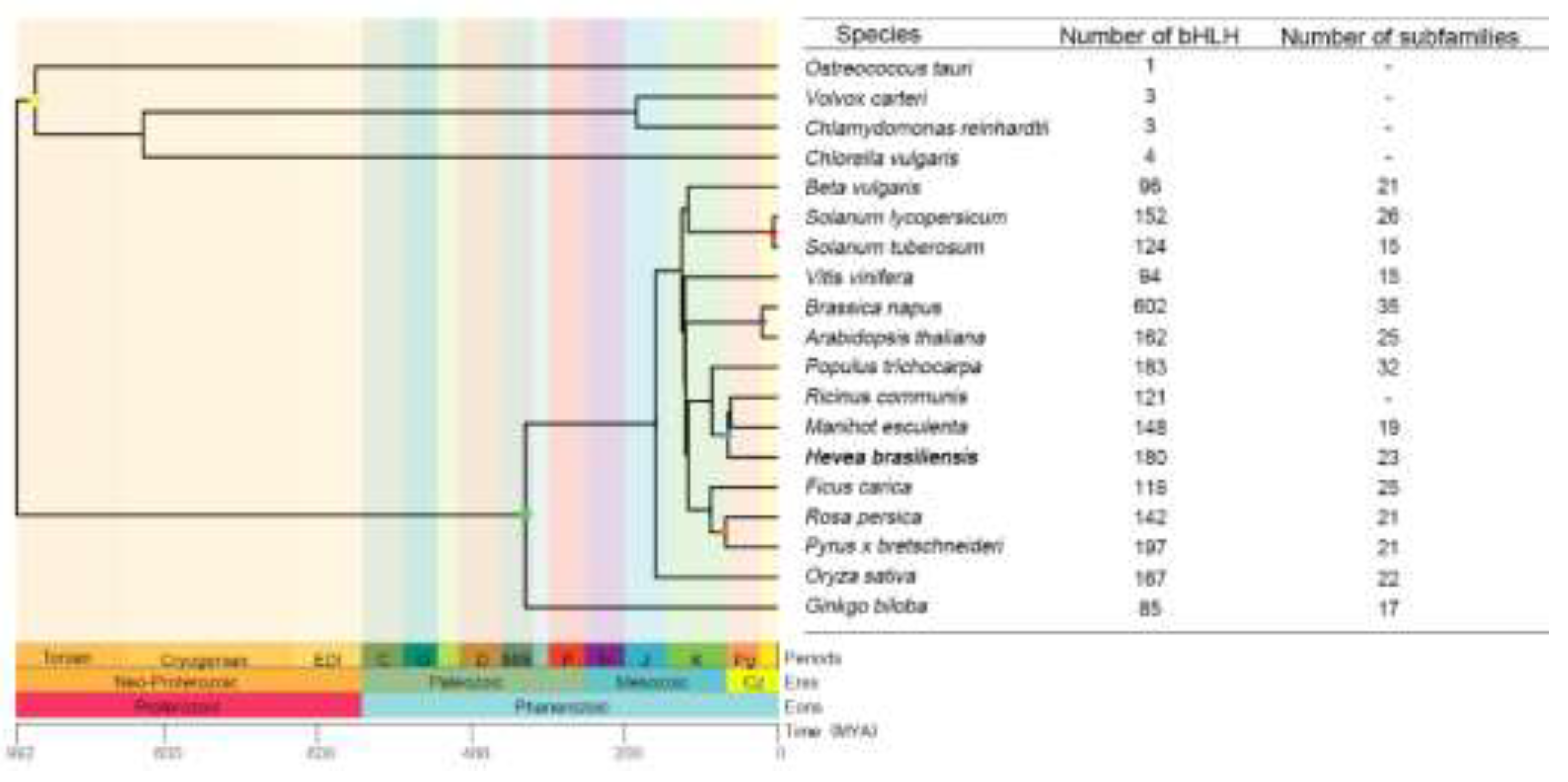 Preprints 119540 g001