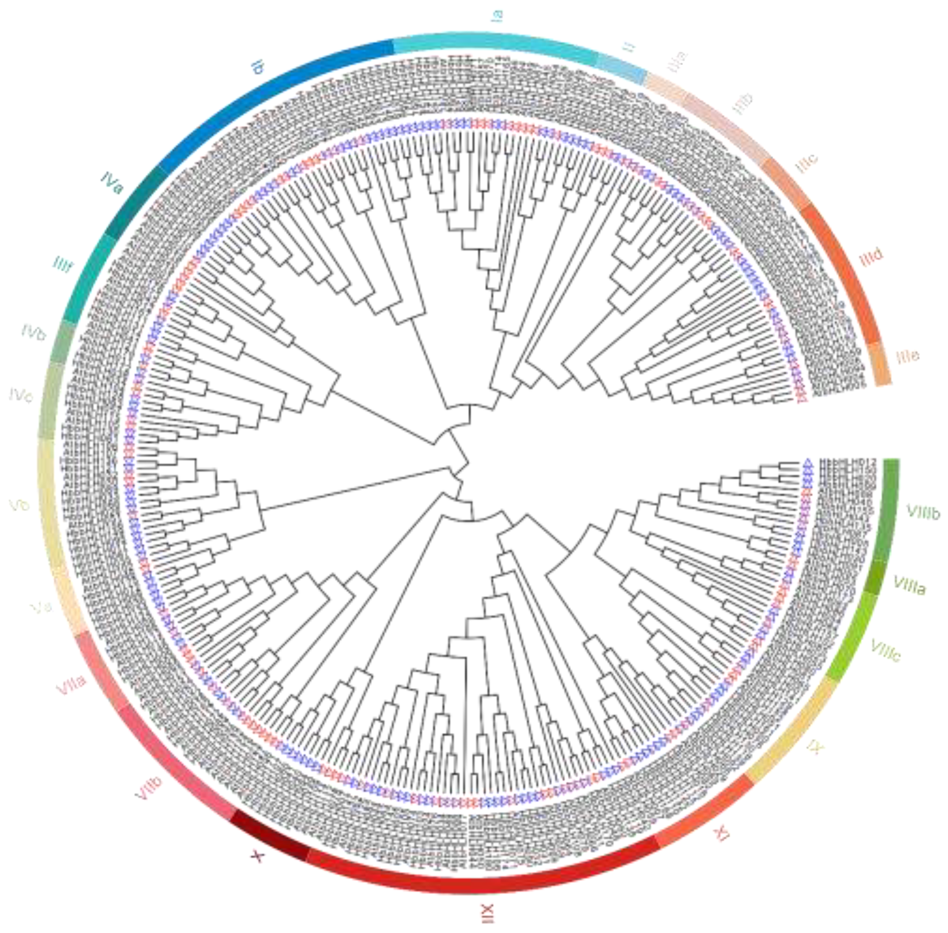 Preprints 119540 g003