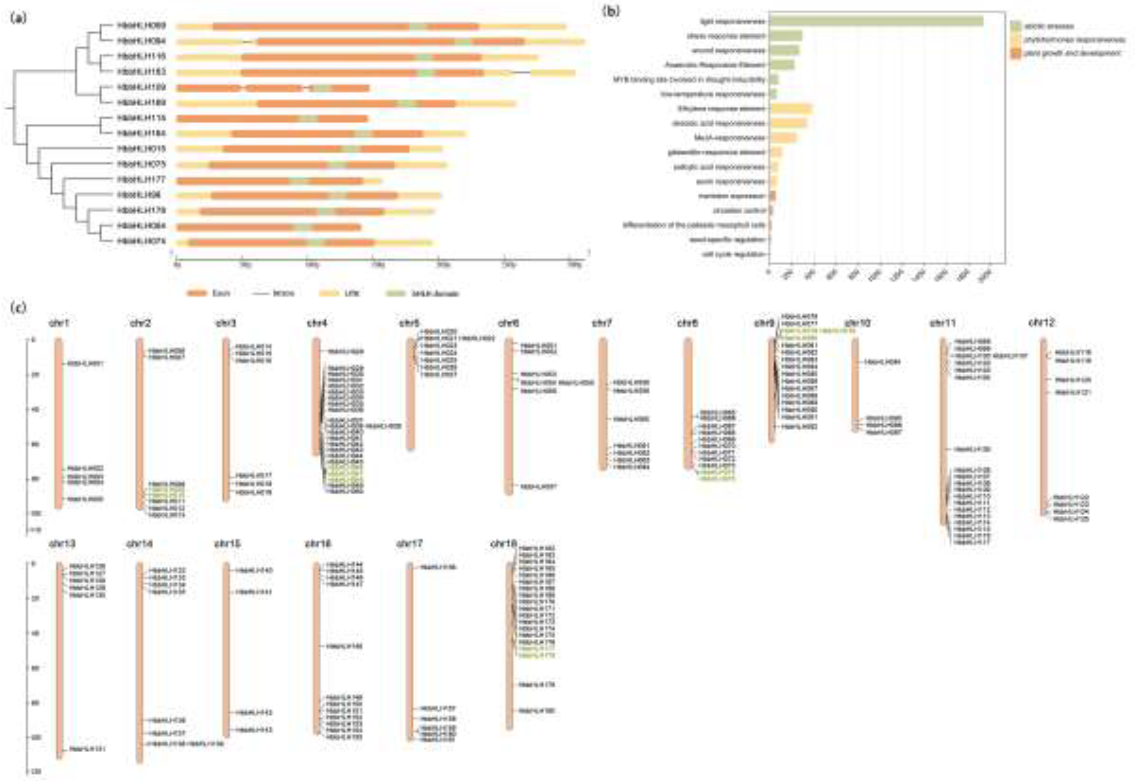 Preprints 119540 g004