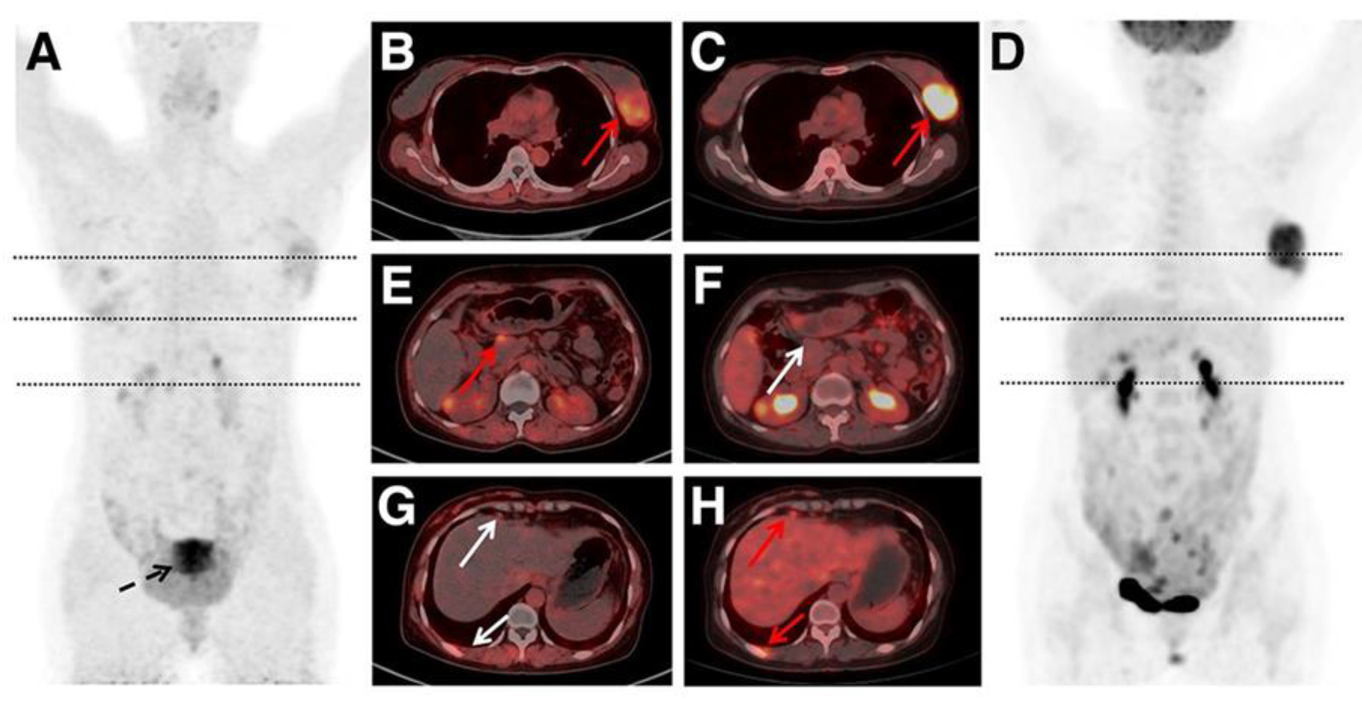 Preprints 117836 g002