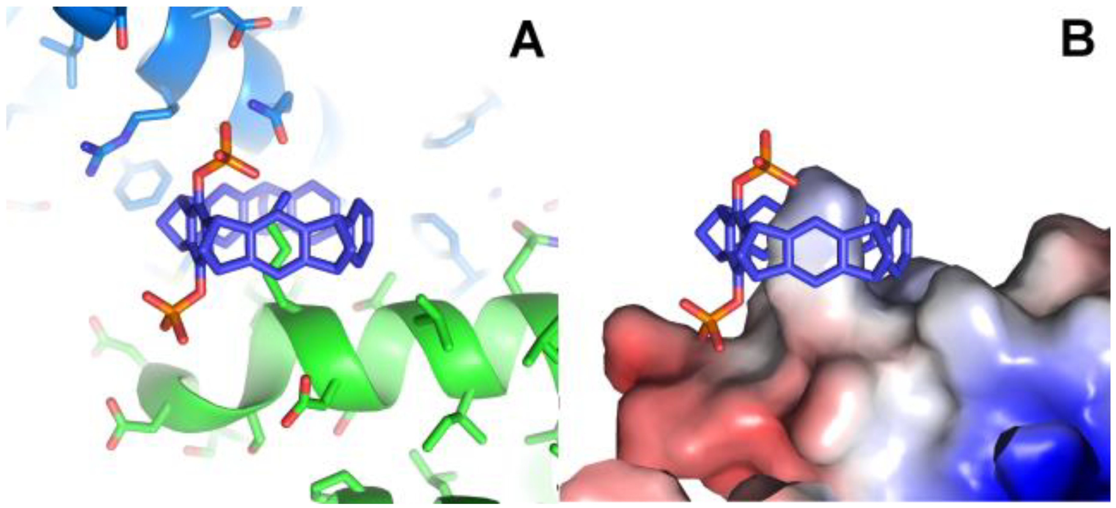 Preprints 99884 g002